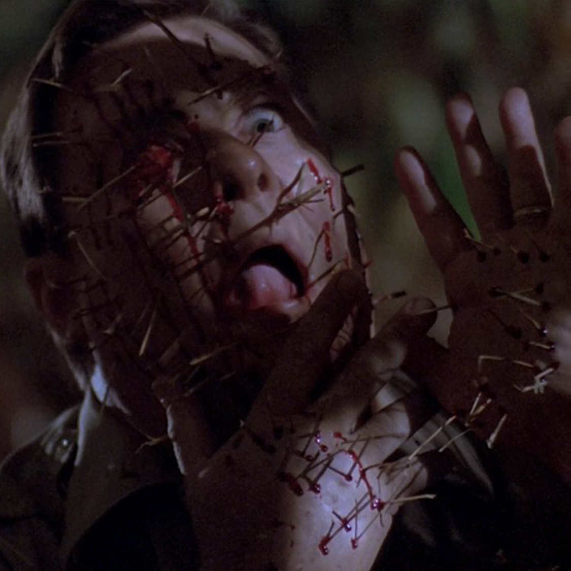 Night of the Scarecrow (1995)