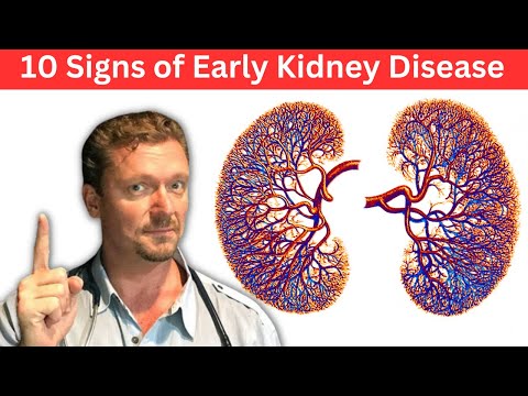 10 Signs of Early Kidney Disease & Kidney Labs You Need episode artwork
