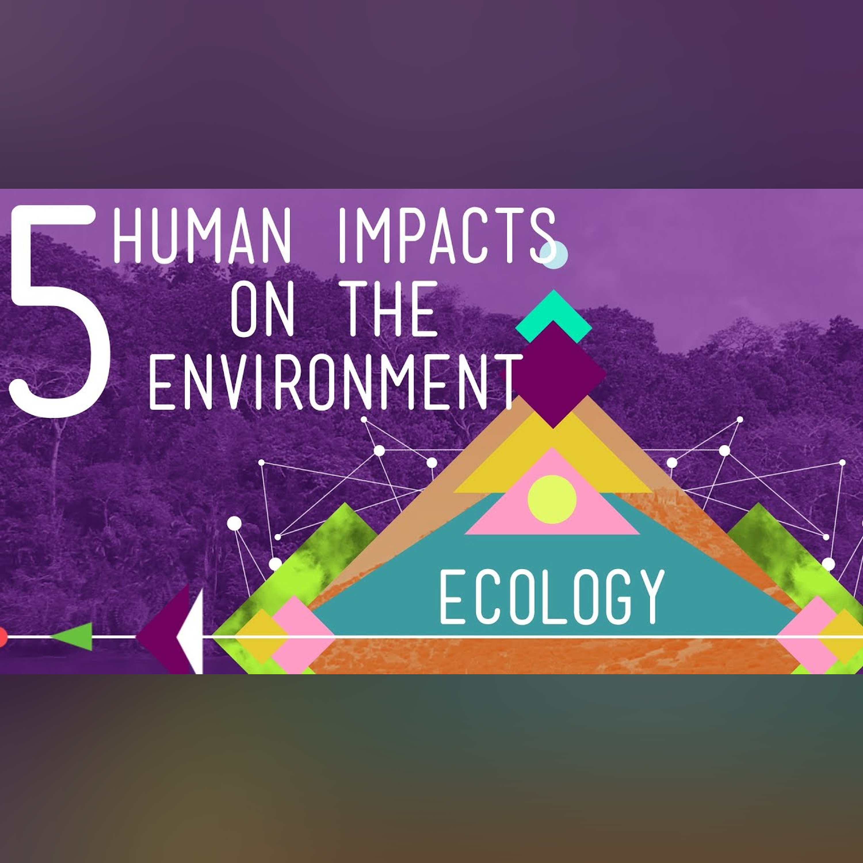 5 Human Impacts on the Environment: Crash Course Ecology #10