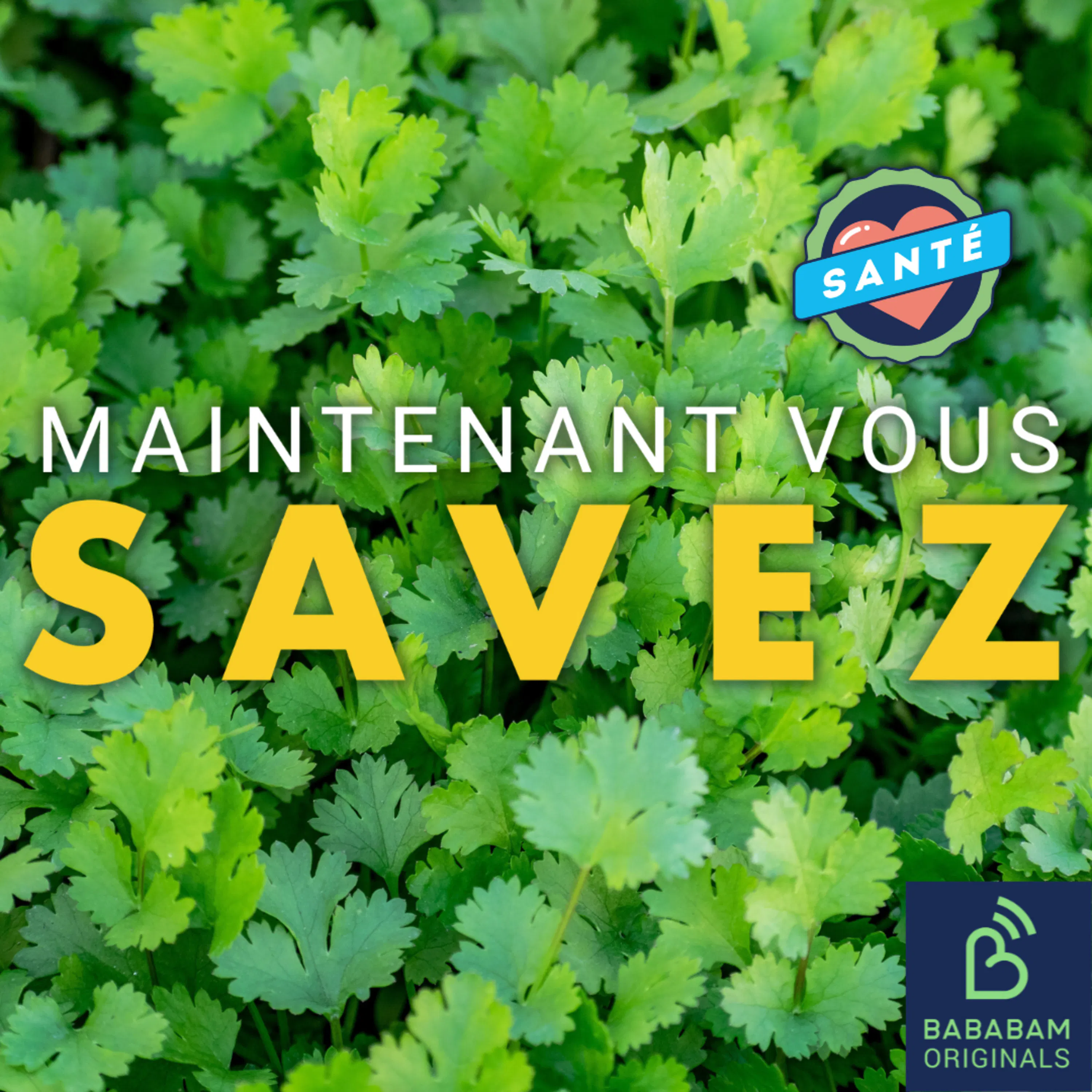 Pourquoi la coriandre a-t-elle un goût de savon pour certains ?