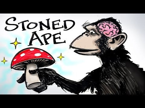 Stoned Ape & Fungal Intelligence - Paul Stamets | After Skool Stoned Ape & Fungal Intelligence - Paul Stamets | After Skool