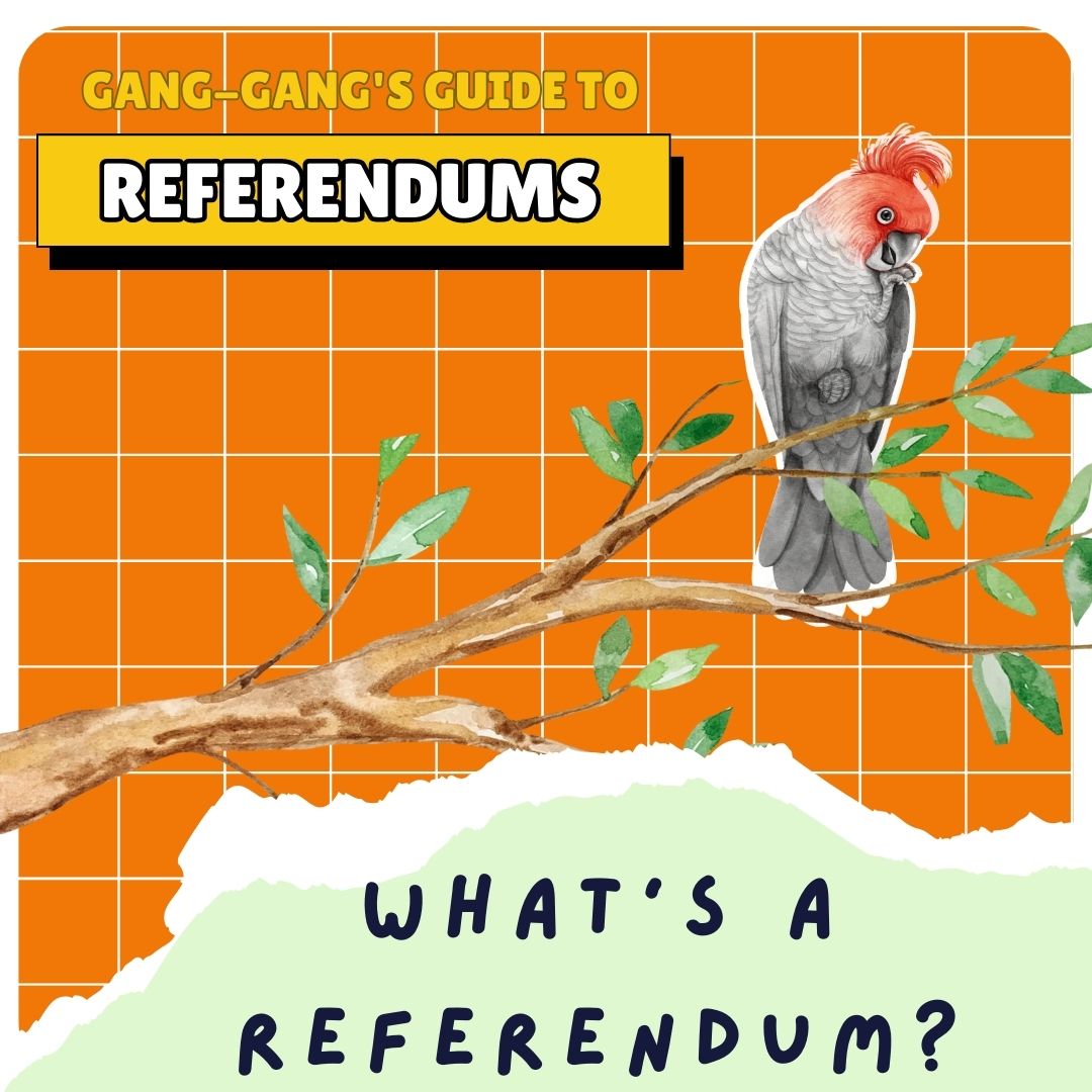 Gang-Gang's Guide to Referendums - Episode One
