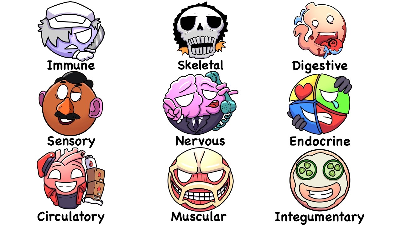 Every System In Human Body Explained in 15 Minutes | The Analyst episode artwork
