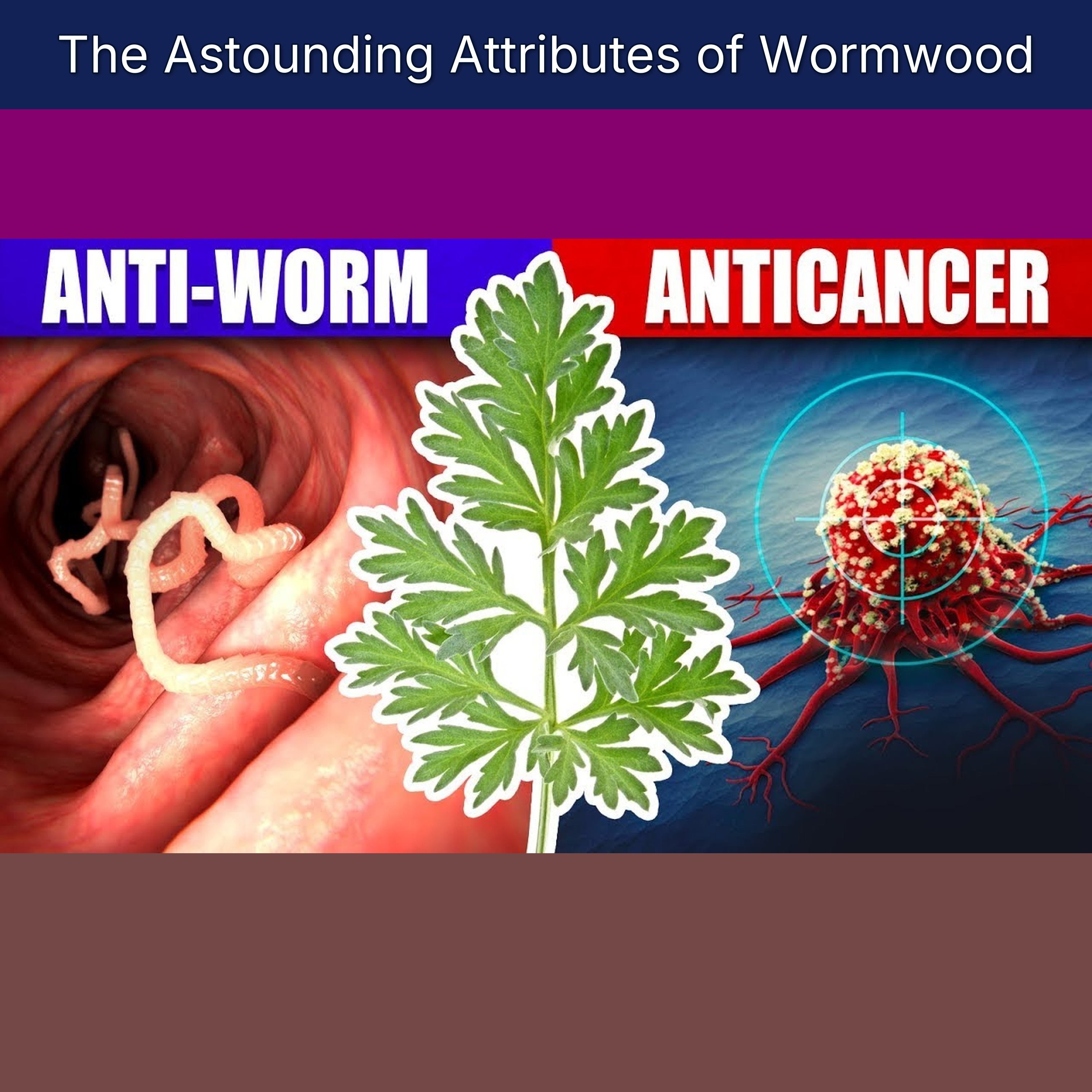 The Astounding Attributes of Wormwood