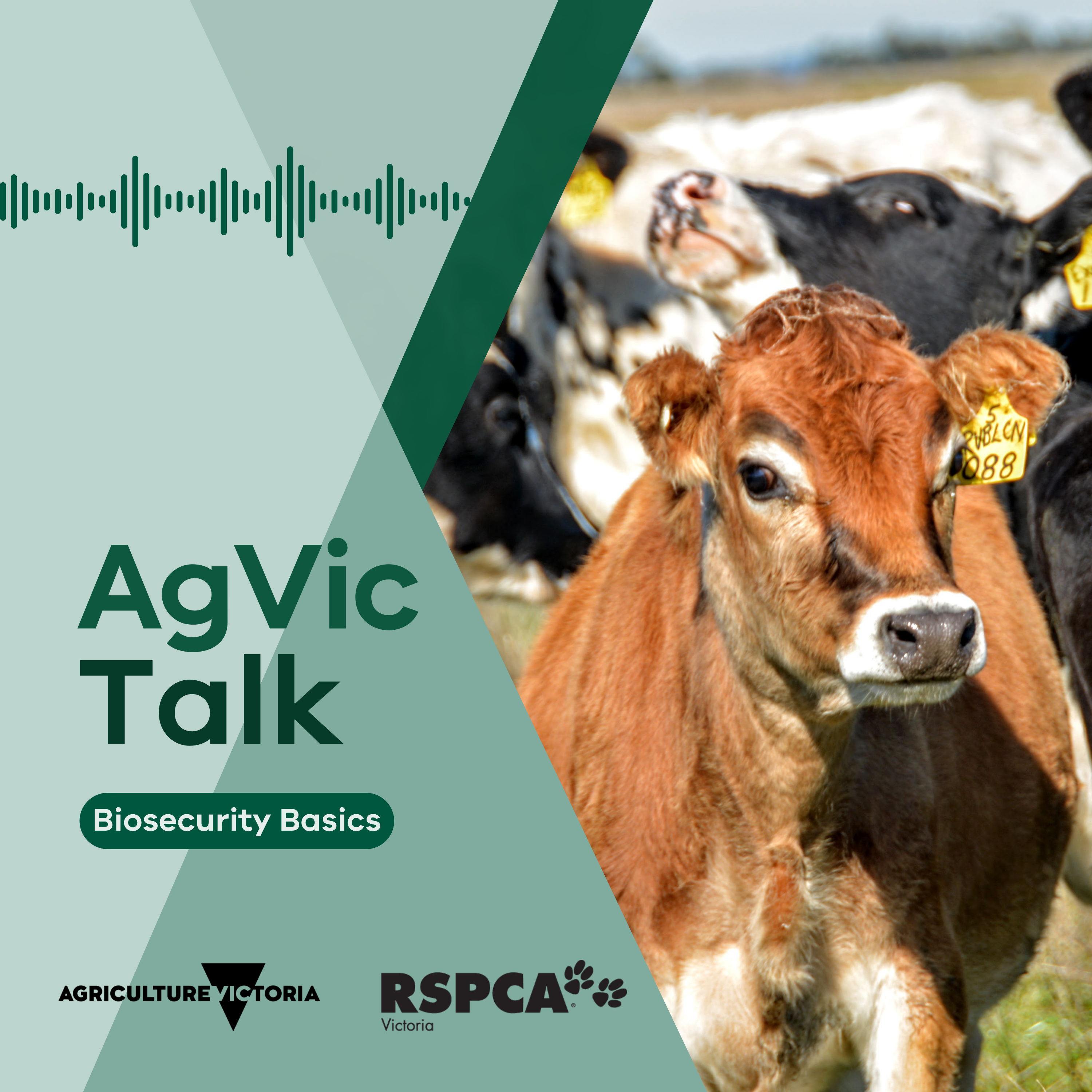 AgVic Talk