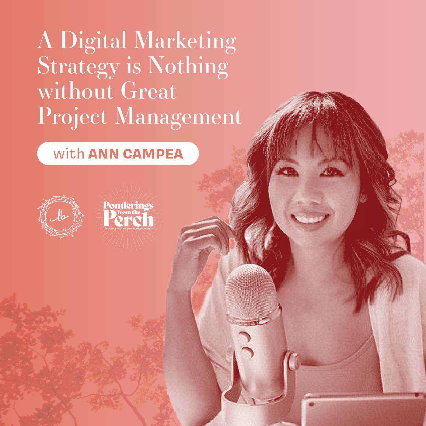 Digital Marketing Strategies are Nothing without Great Project Management episode artwork