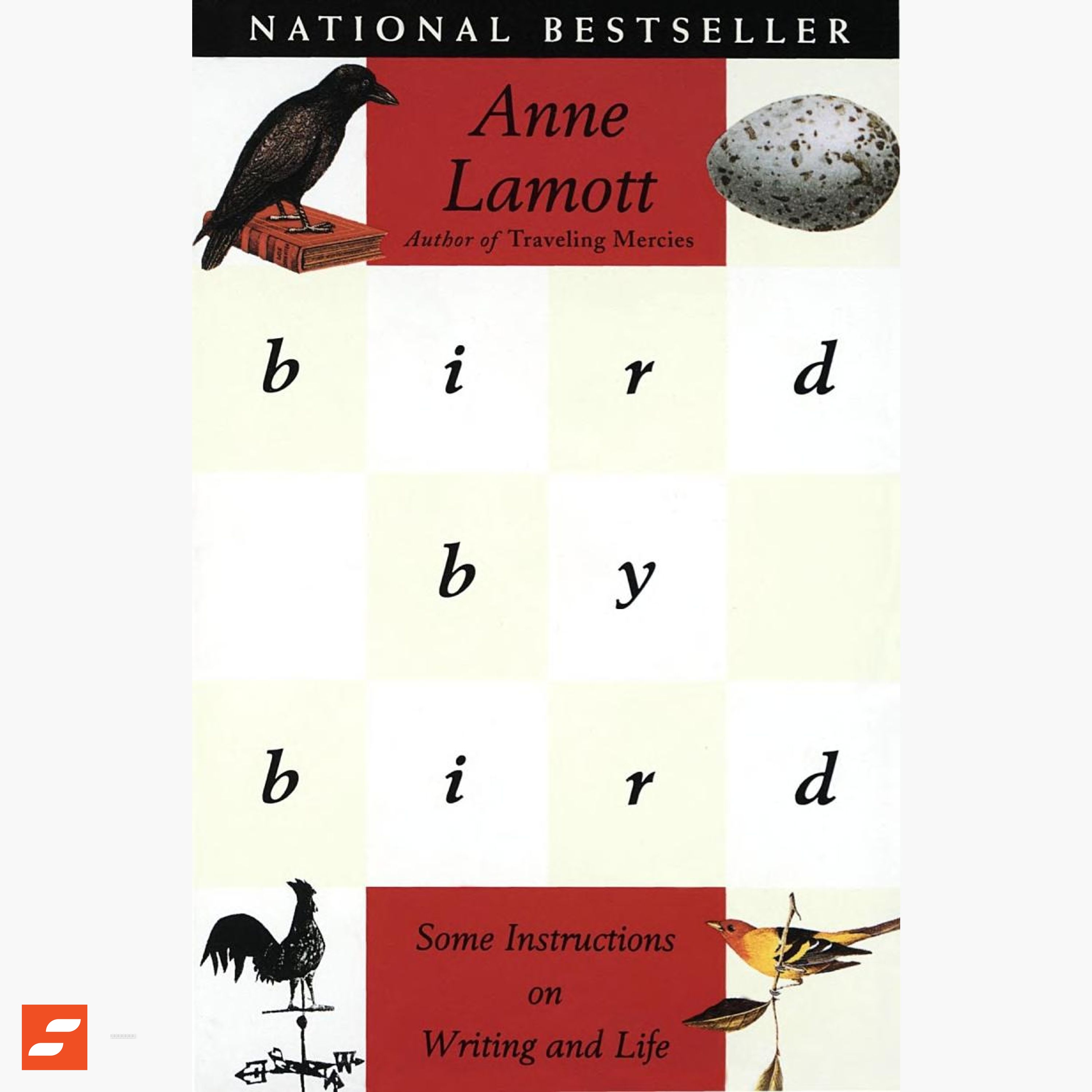 Écrire sans complexe Résumé | Anne Lamott episode artwork