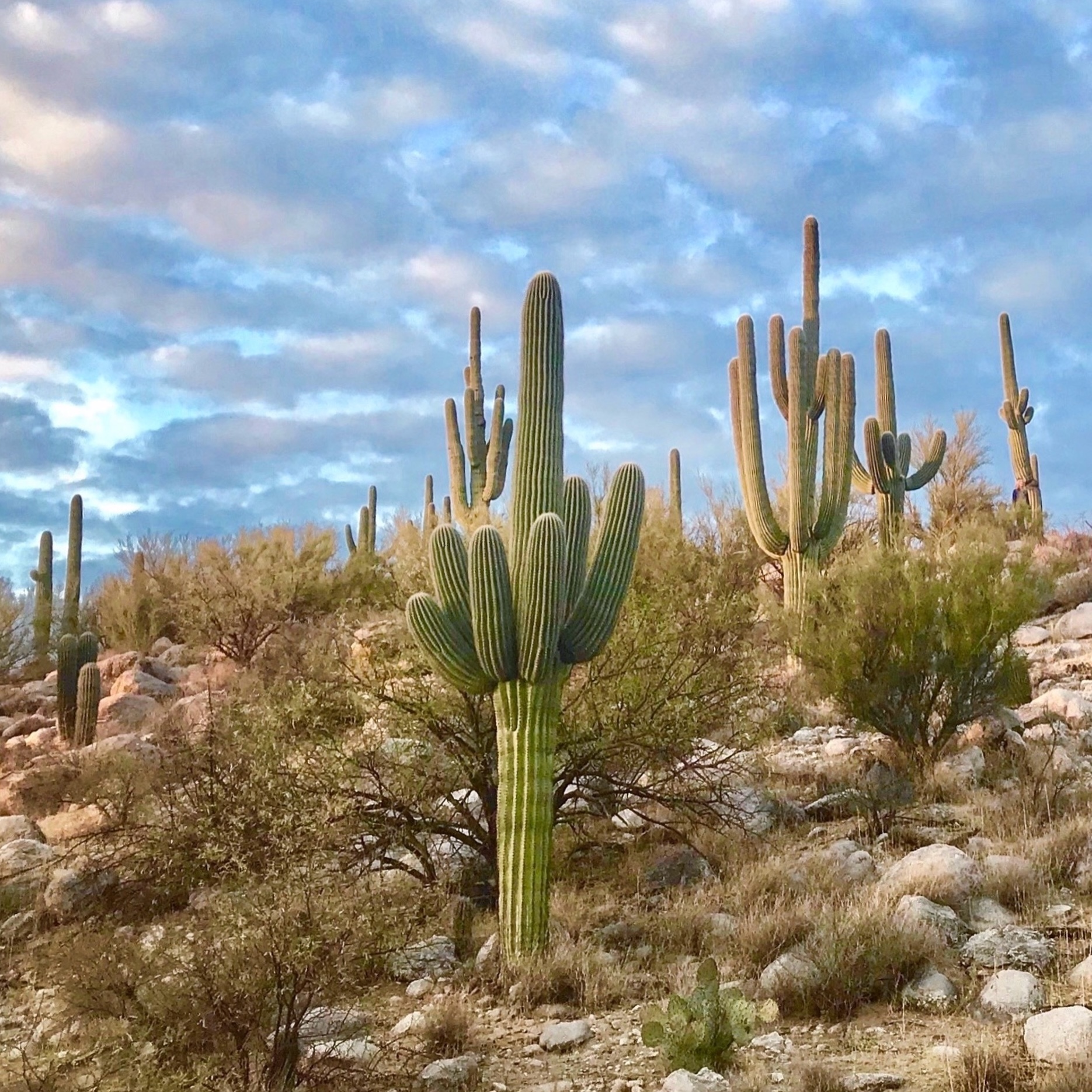 #166: Five More Phenomenal State Parks