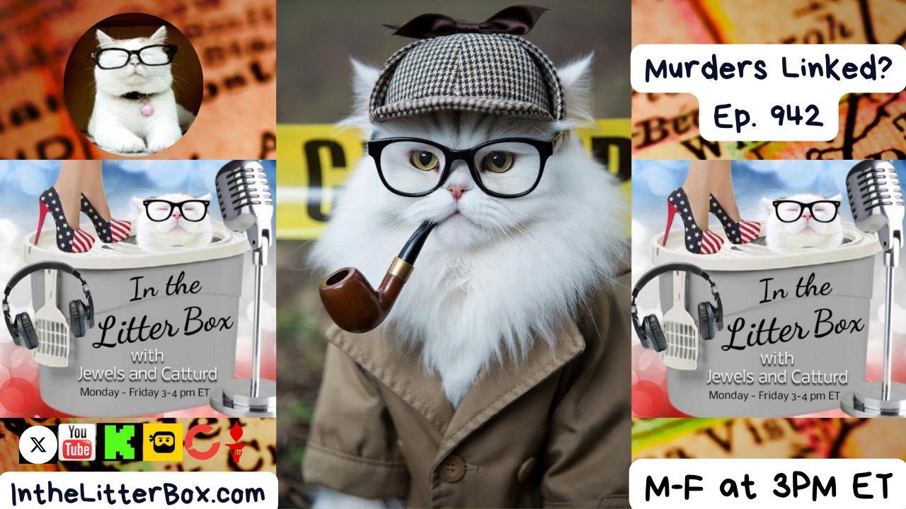 Murders Linked? | In the Litter Box w/ Jewels & Catturd – Ep. 942 – 12/19/2025