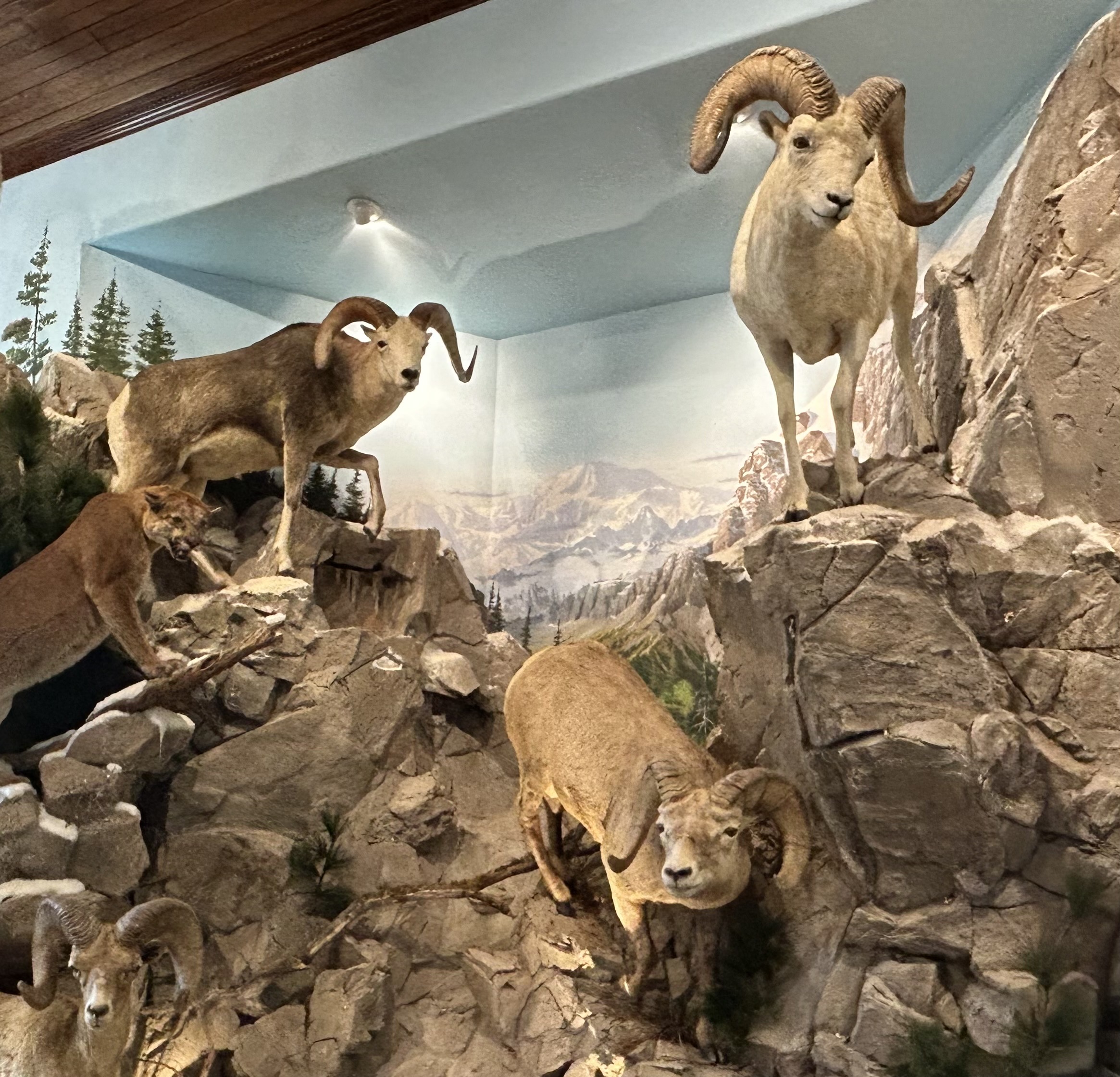 DSC Campfires with Larry Weishuhn