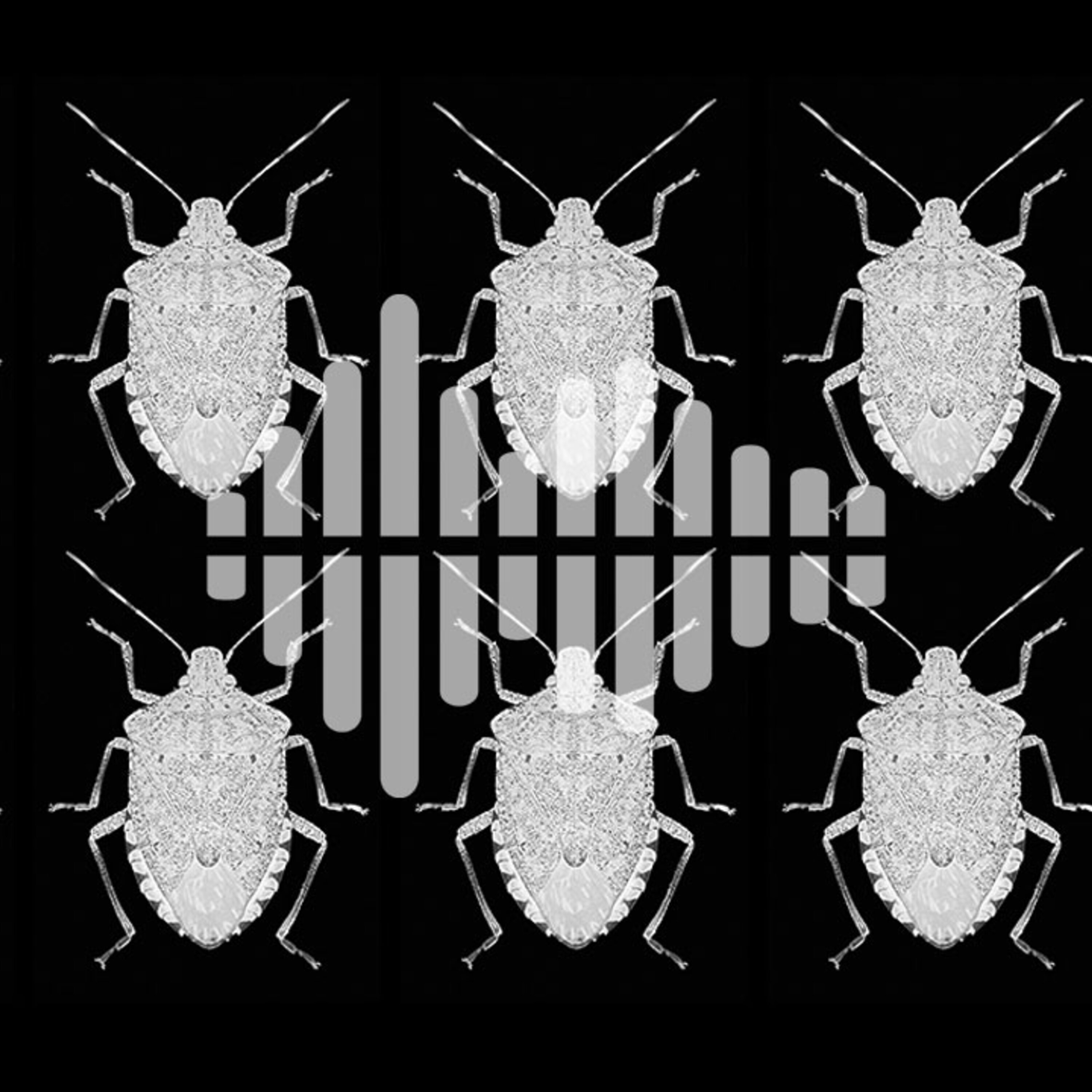 Sleeping without a brain, tracking alien invasions, and algorithms of oppression