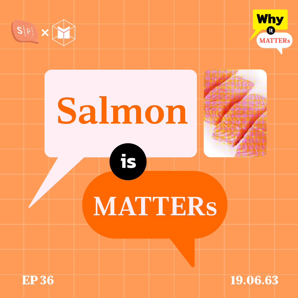 Why It MATTERs EP36 แซลมอนซาชิมิ อาหารญี่ปุ่นที่นำเข้าจากชิลี