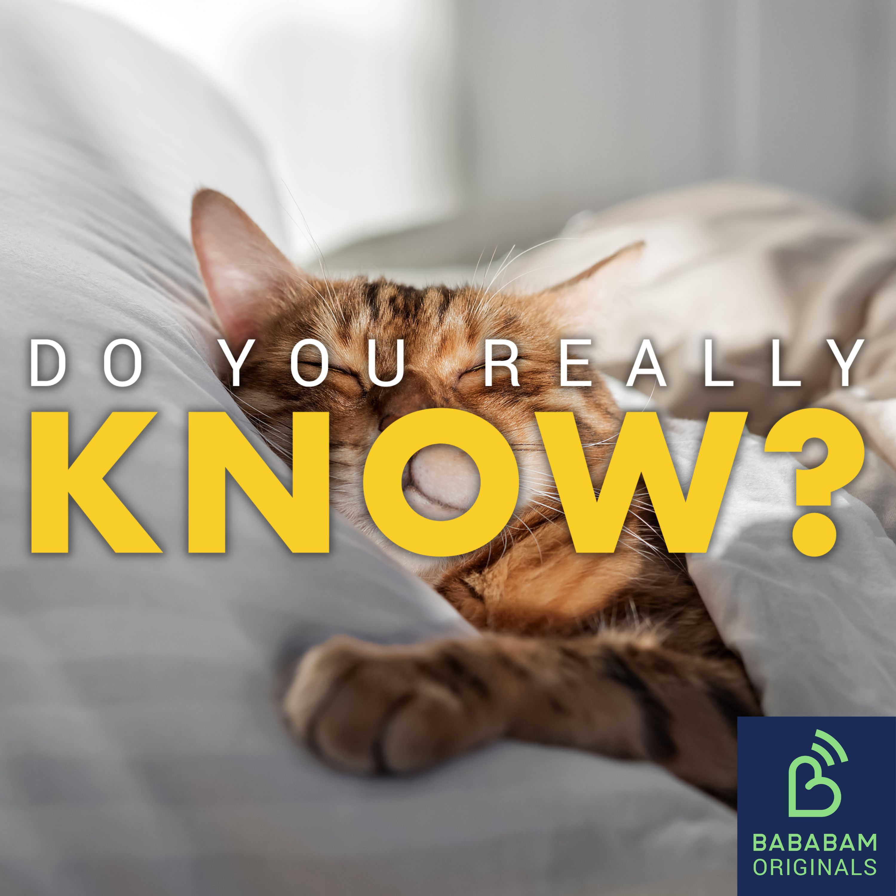 Could CBTI help you sleep better ?
