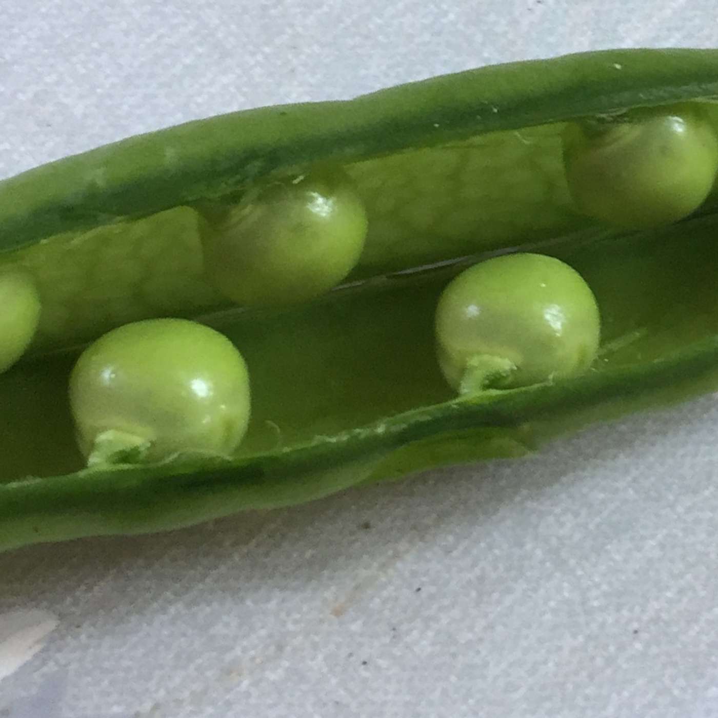 A Small Insurrection