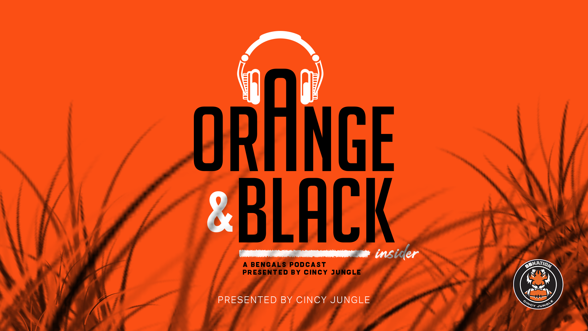 OBI: Bengals/NFL Water Cooler Chat (4/12) episode artwork
