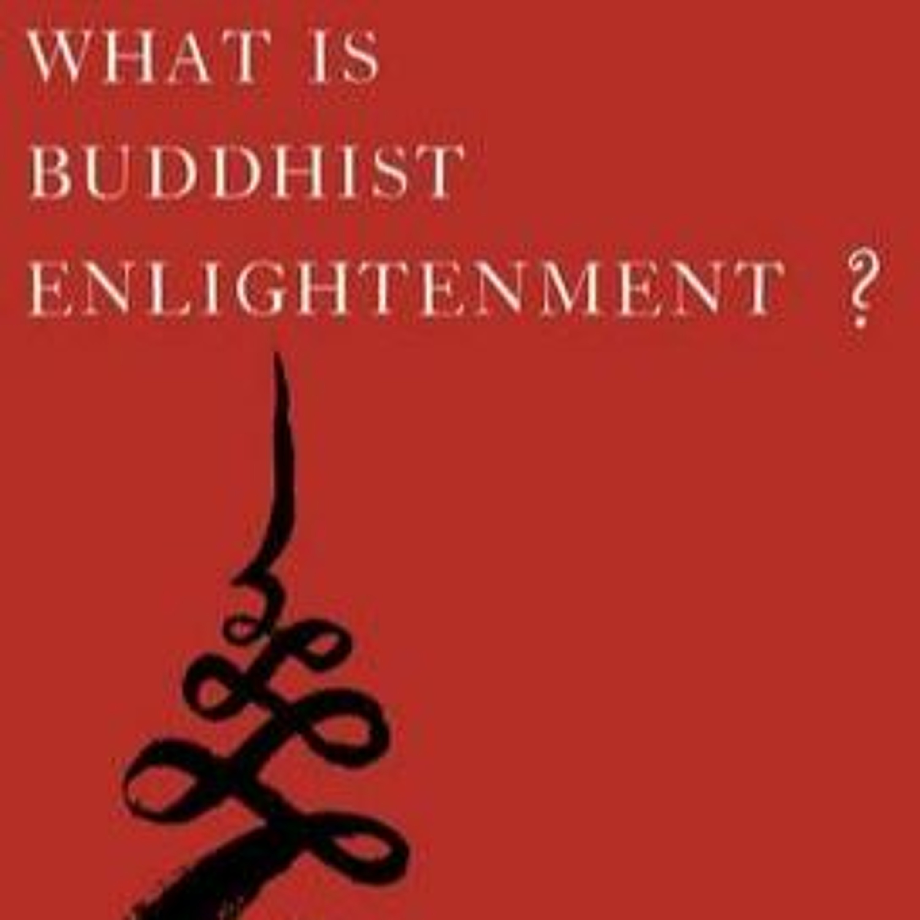 39 Dale S. Wright on Buddhist Enlightenment episode artwork