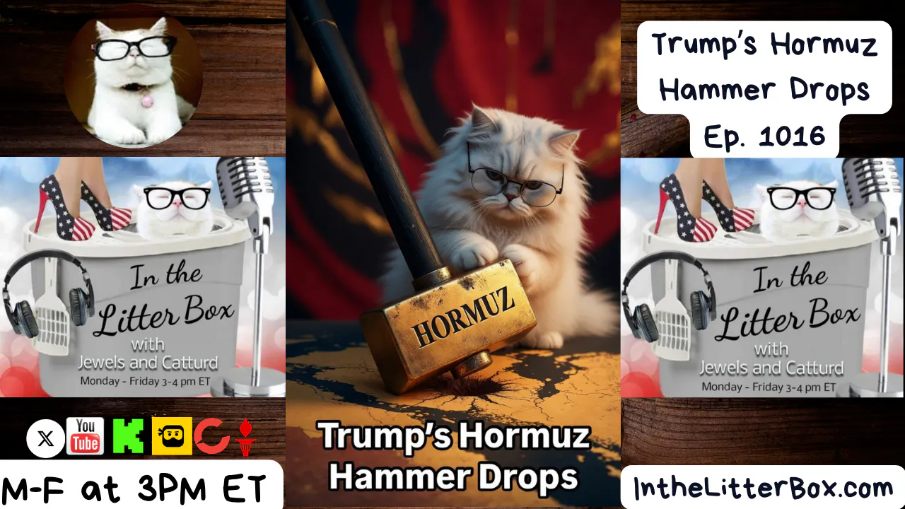Trump's Hormuz Hammer Drops | In the Litter Box w/ Jewels Jones & Catturd – Ep. 1016 5/1/2026 episode artwork