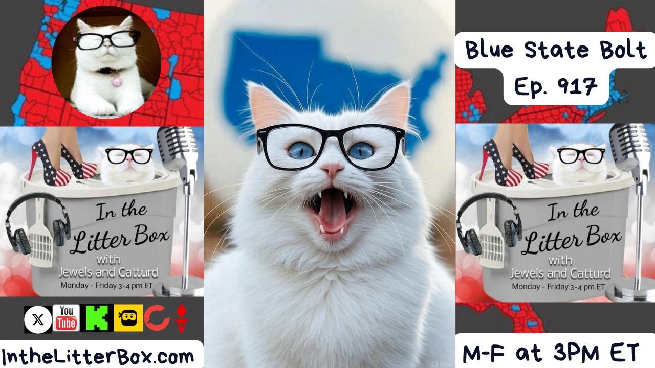 Blue State Bolt | In the Litter Box w/ Jewels & Catturd – Ep. 917 – 11/6/2025