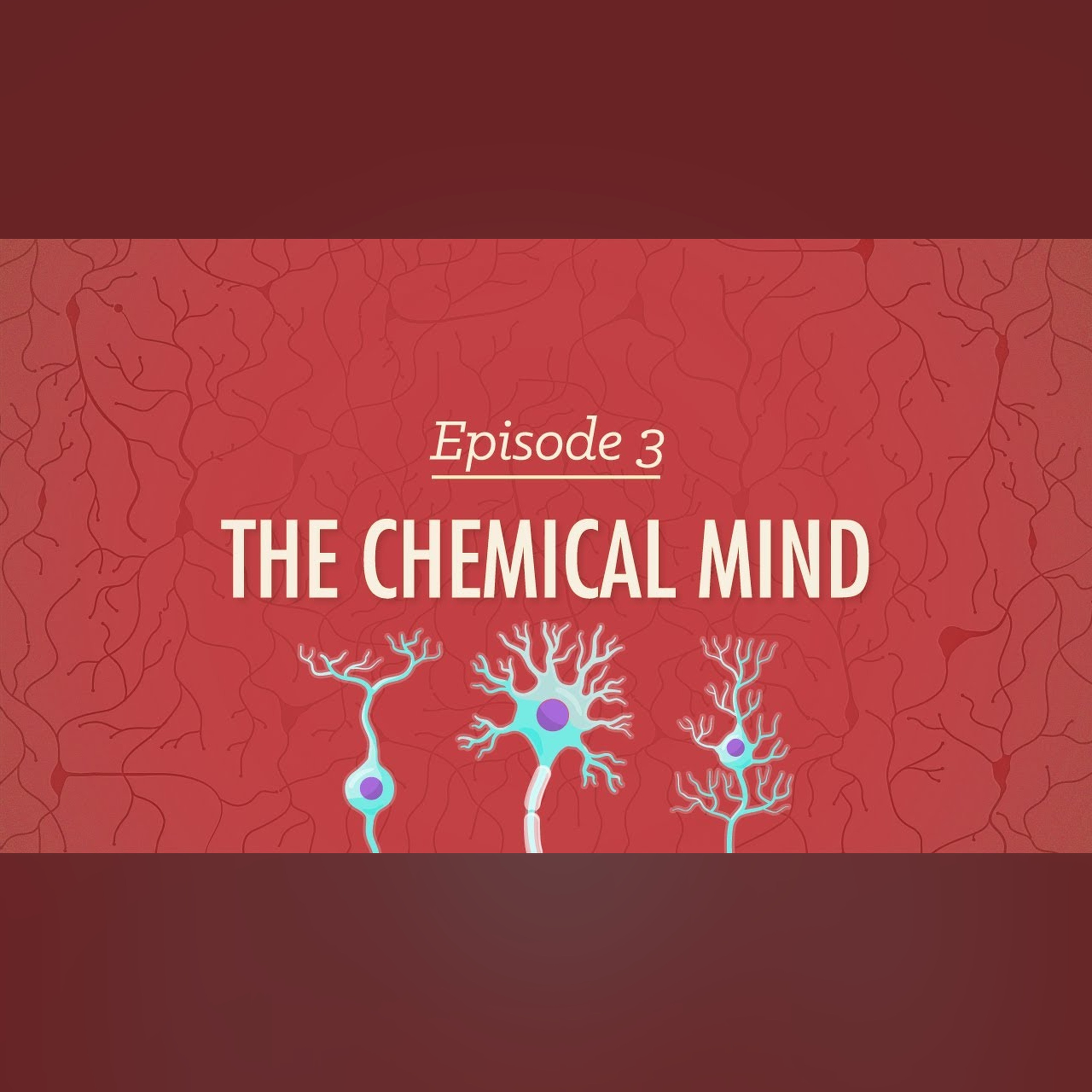 The Chemical Mind: Crash Course Psychology #3