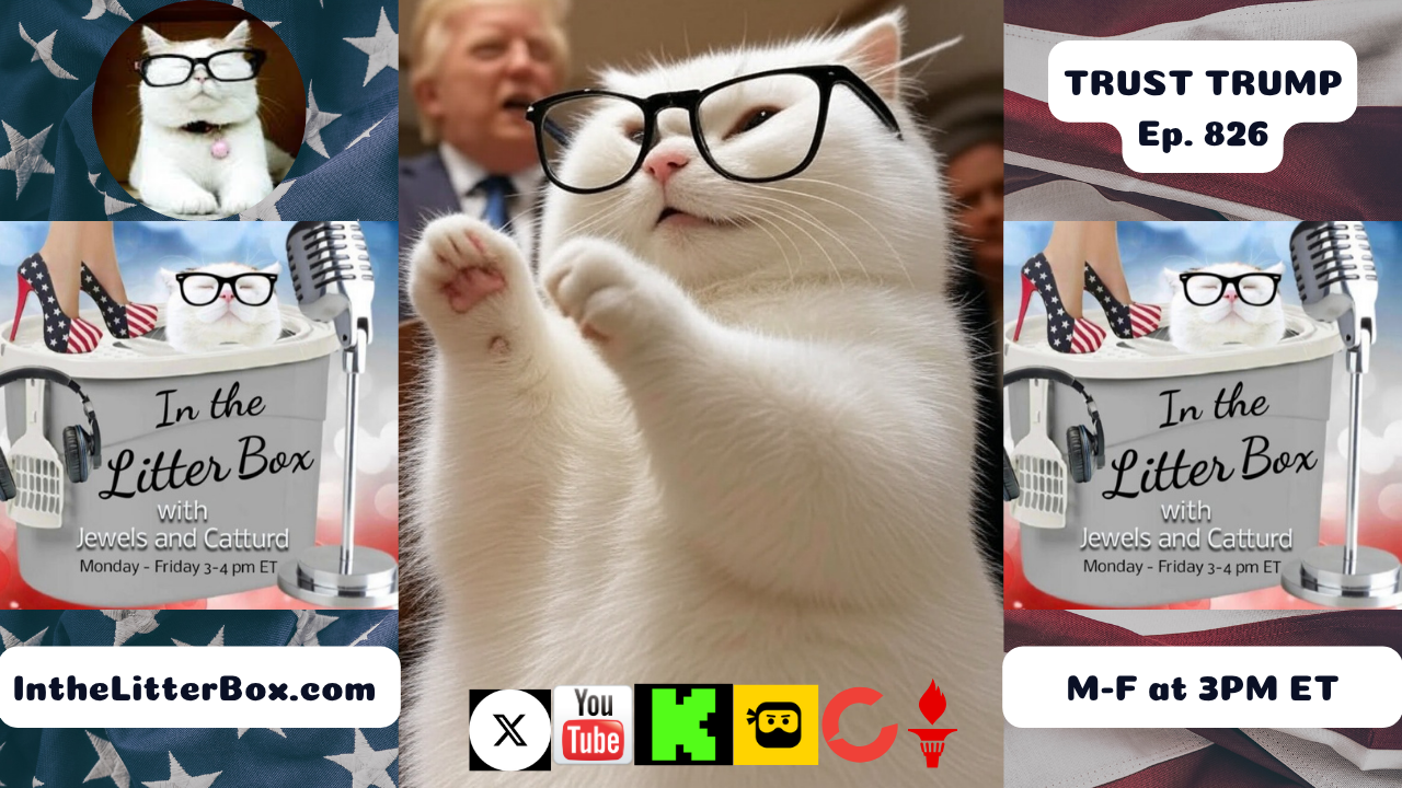 TRUST TRUMP | In the Litter Box w/ Jewels & Catturd – Ep. 826 – 6/20/2025