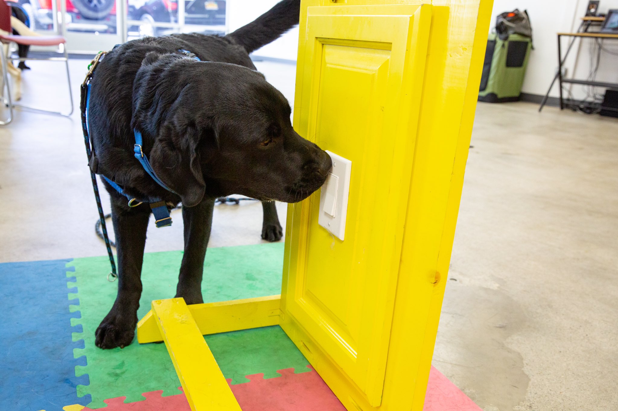 Program For Veterans Faces Major Funding Cuts