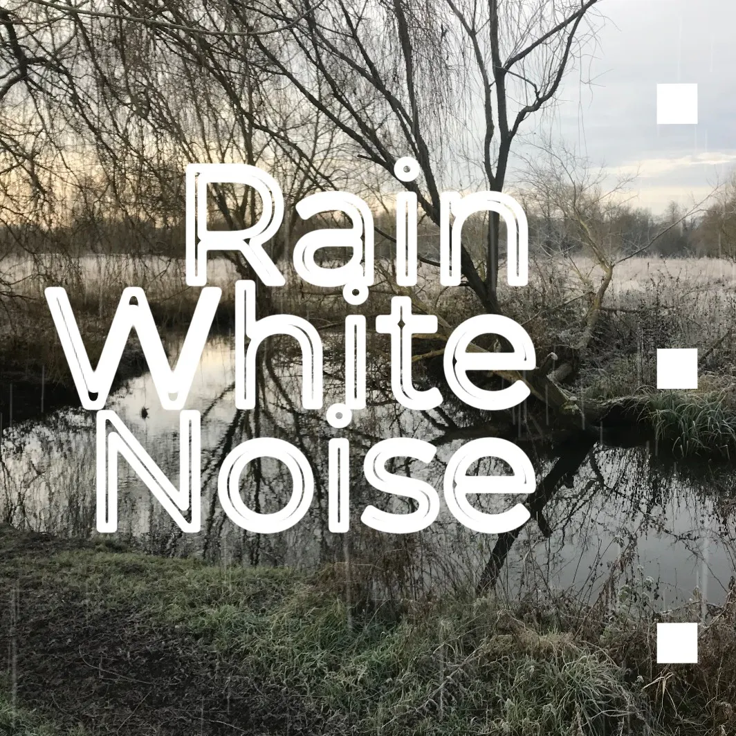 Rain White Noise For Sleep, Study, Relaxation 12 Hours
