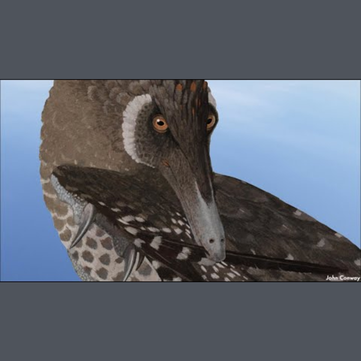 Velociraptor - Ancient Animal episode artwork