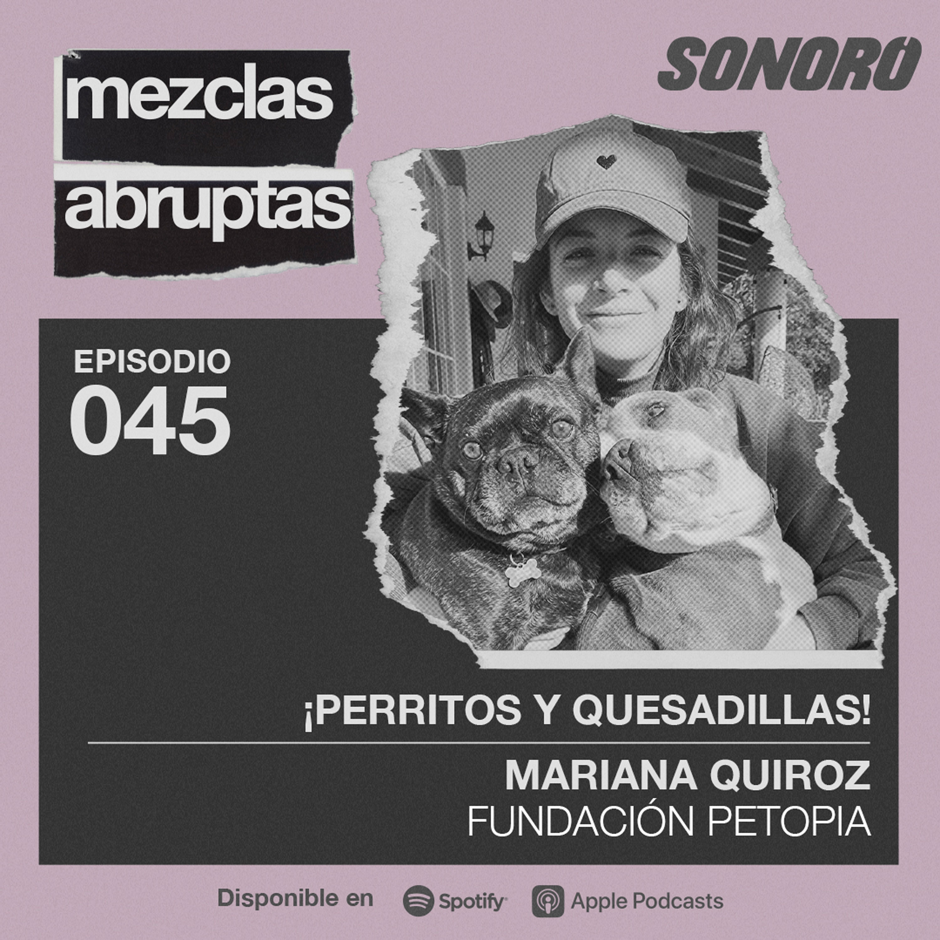 ¡Perritos y quesadillas! - Mariana Quiroz, Fundación Petopia