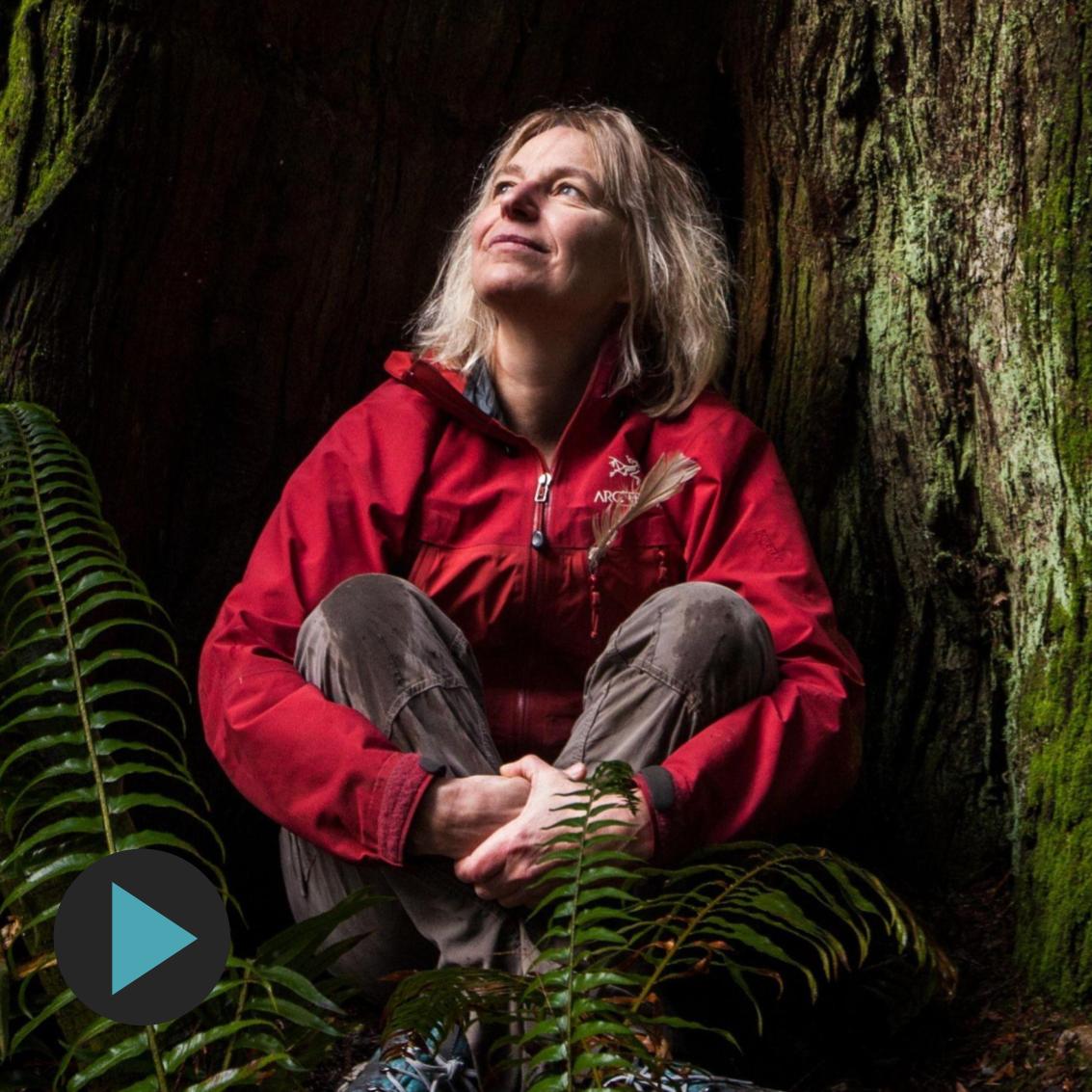 Ecologist Suzanne Simard - Lessons of the Forest