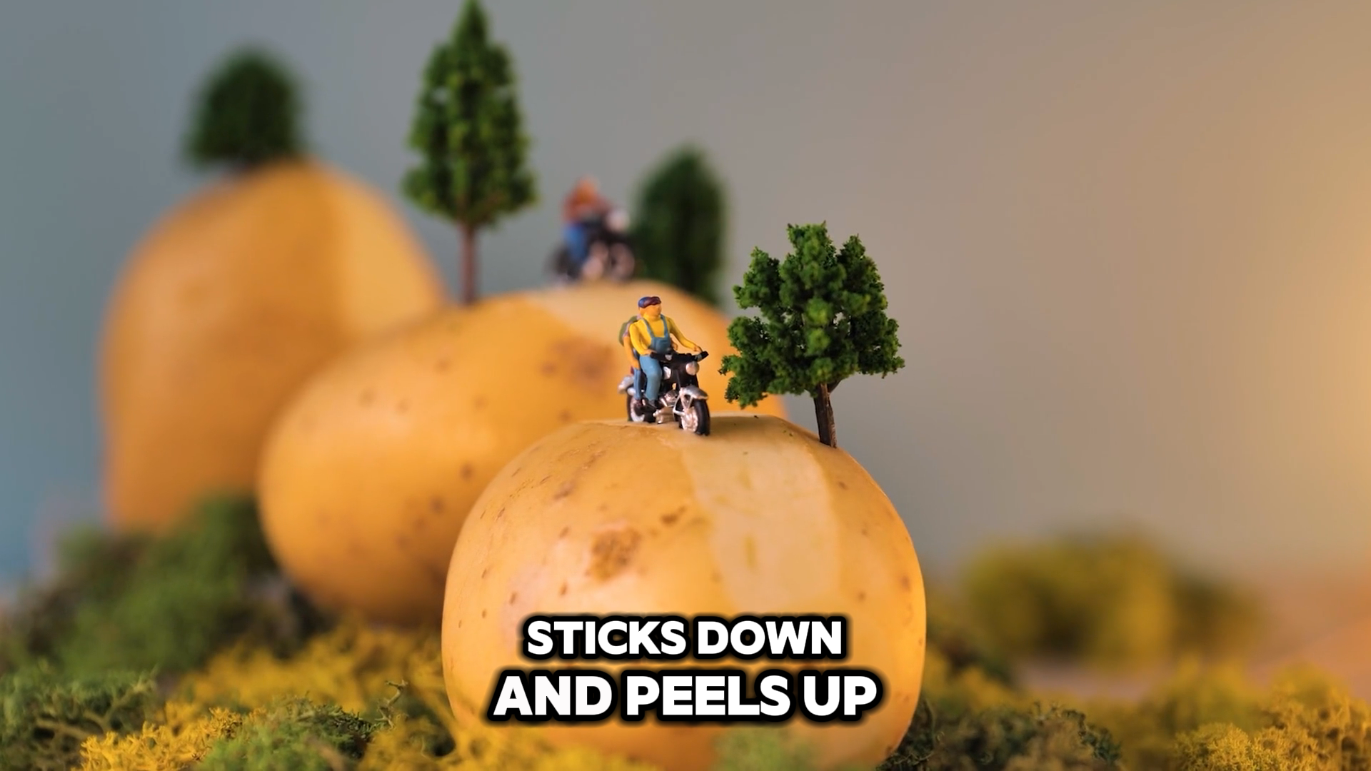 Tiny Food Town in Motion: Snack City Comes Alive episode artwork