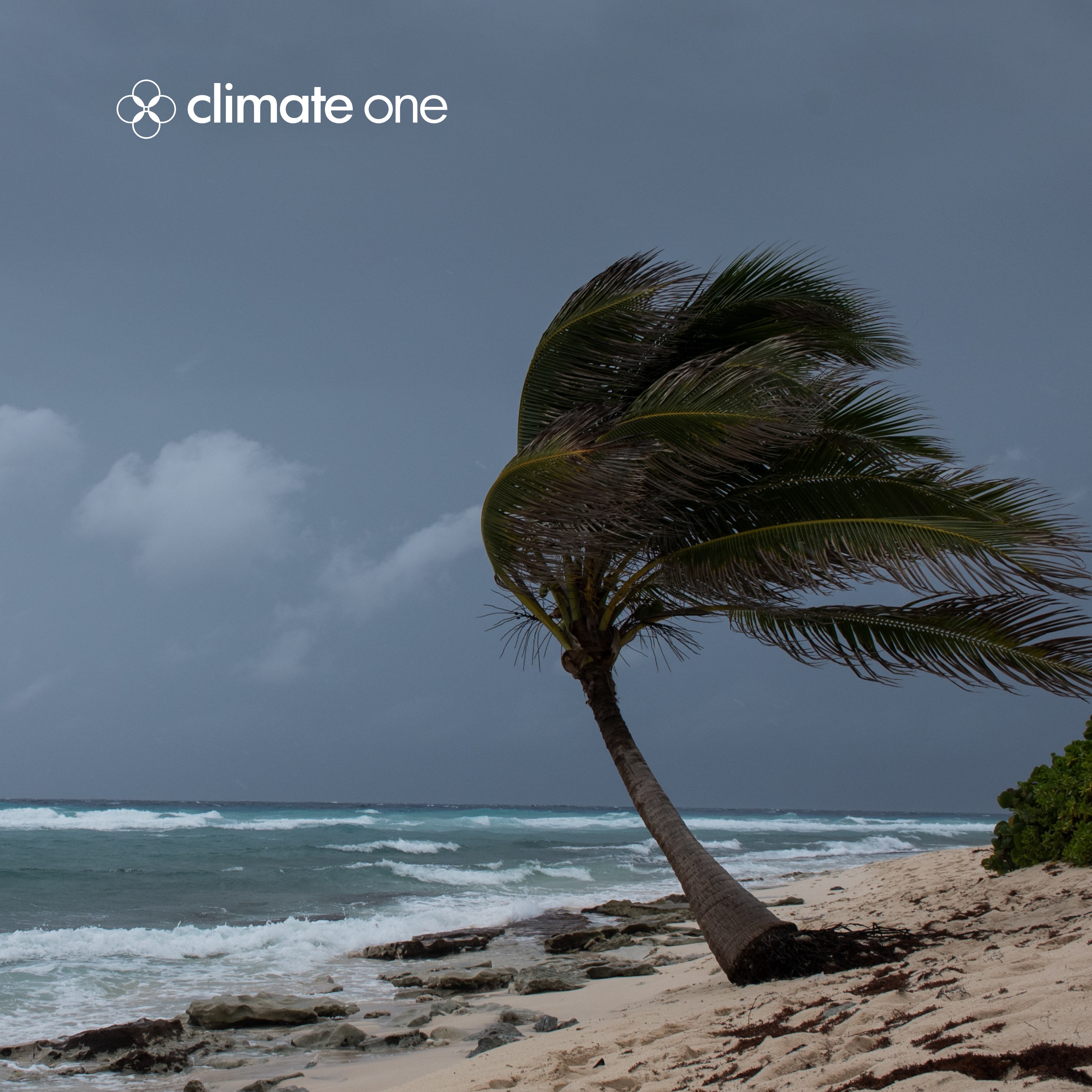 Harvey and Irma: A Hurricane’s Human Fingerprints