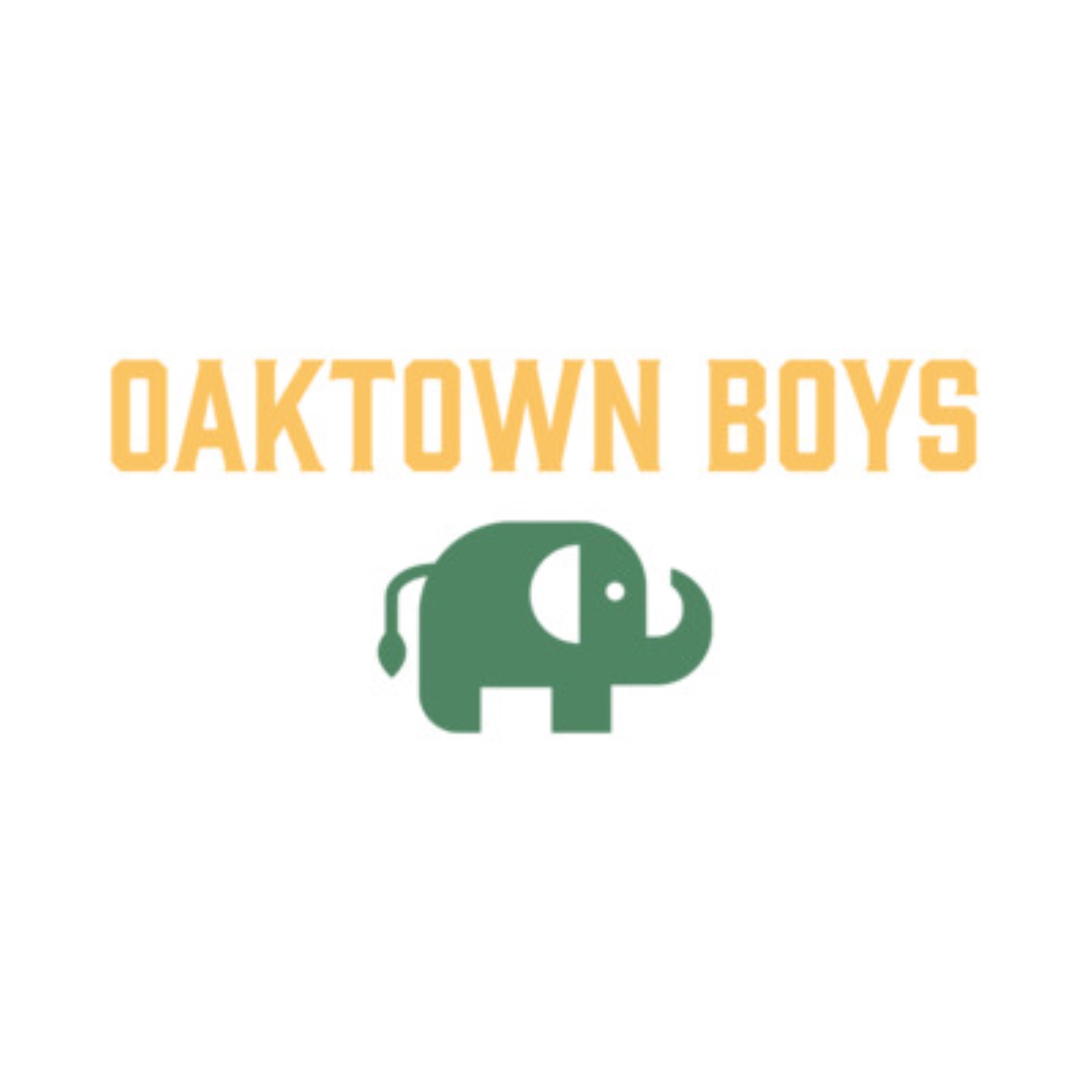 Bolte of Lightning - Oaktown Boys episode artwork