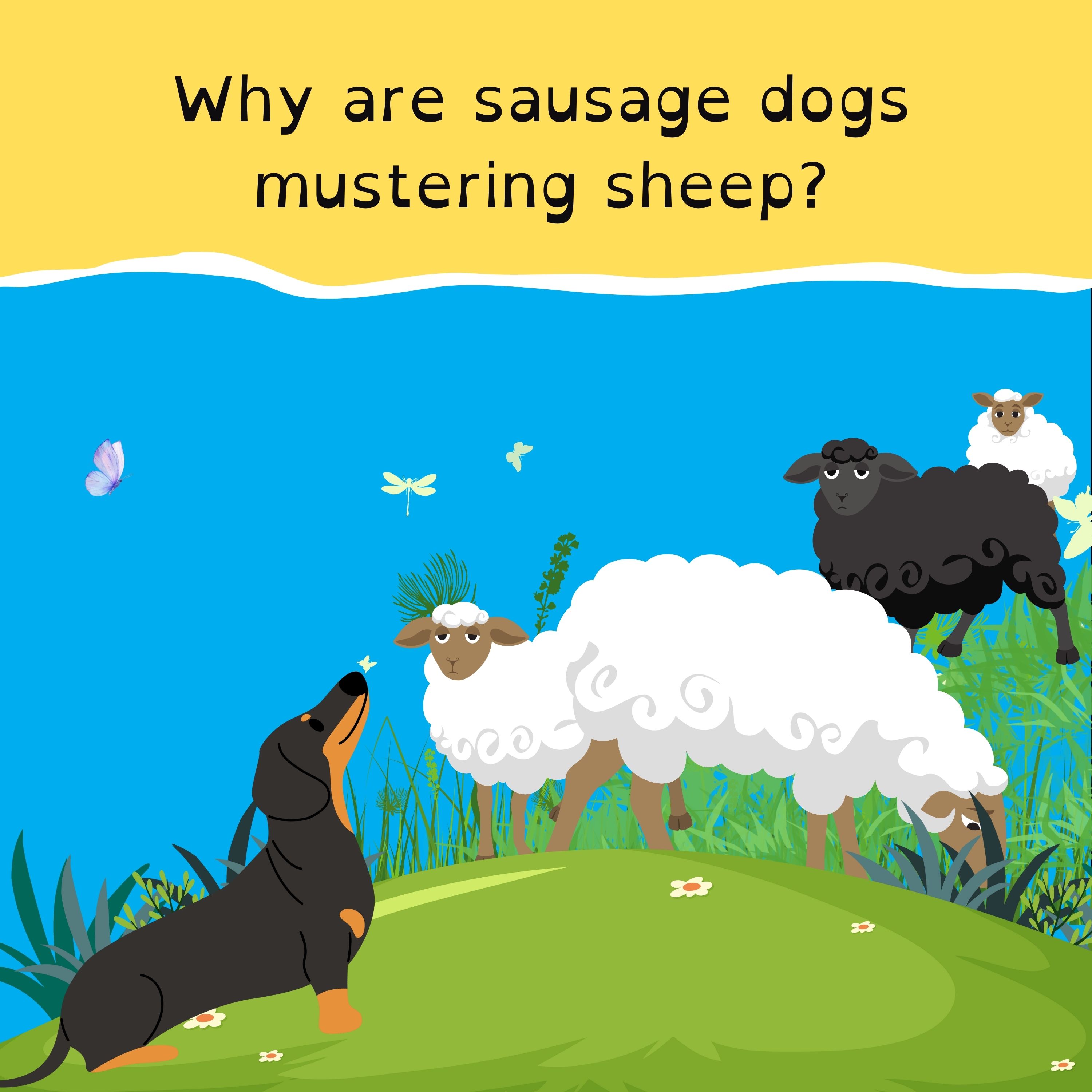 An upside-down moon landing;  a quagmire in Queensland; the 49ers furry friends; and a yellow mystery solved.