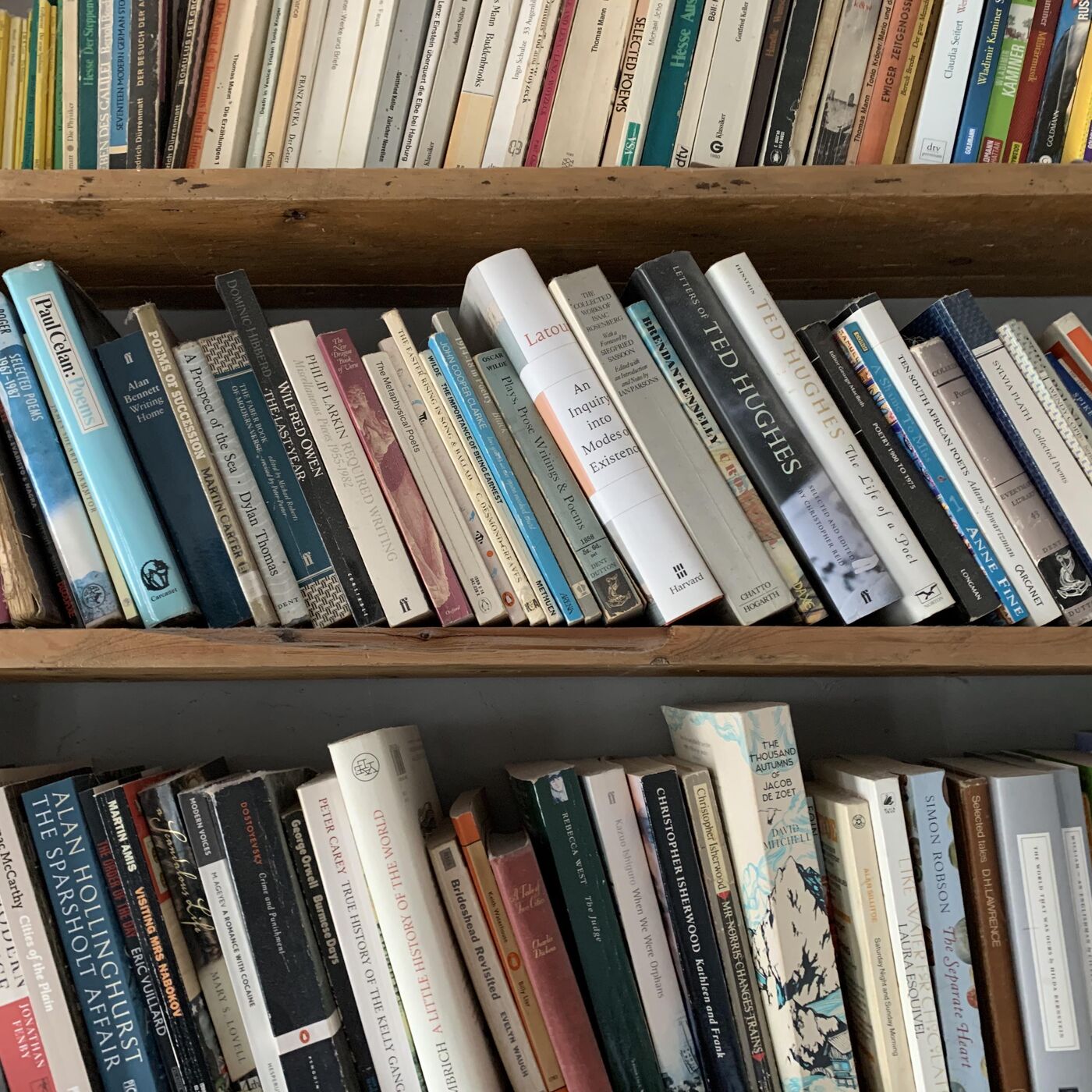 THE ROAD BOOK #21: David and Ned come of age and talk bookshelves. episode artwork
