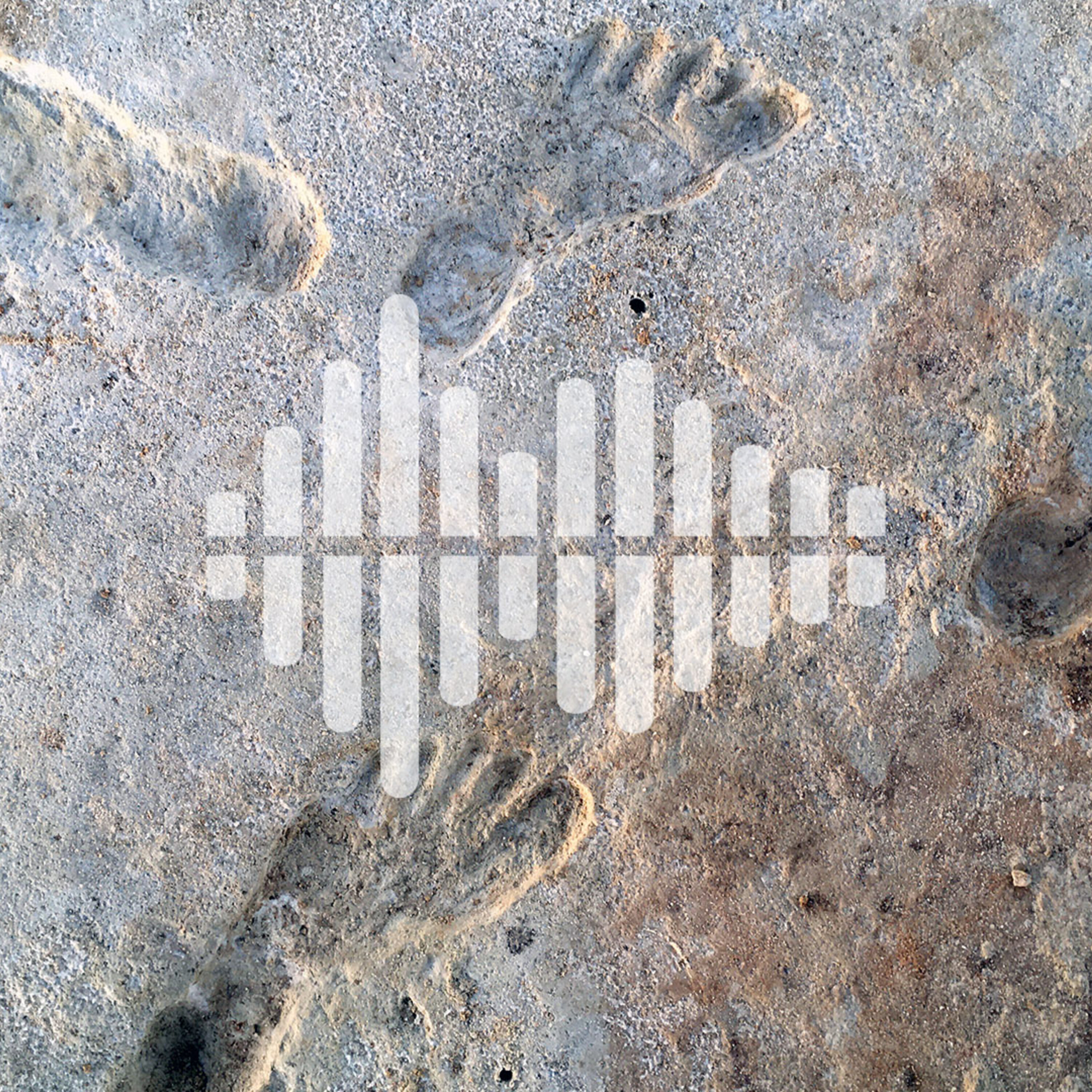 Earliest human footprints in North America, dating violins with tree rings, and the social life of DNA