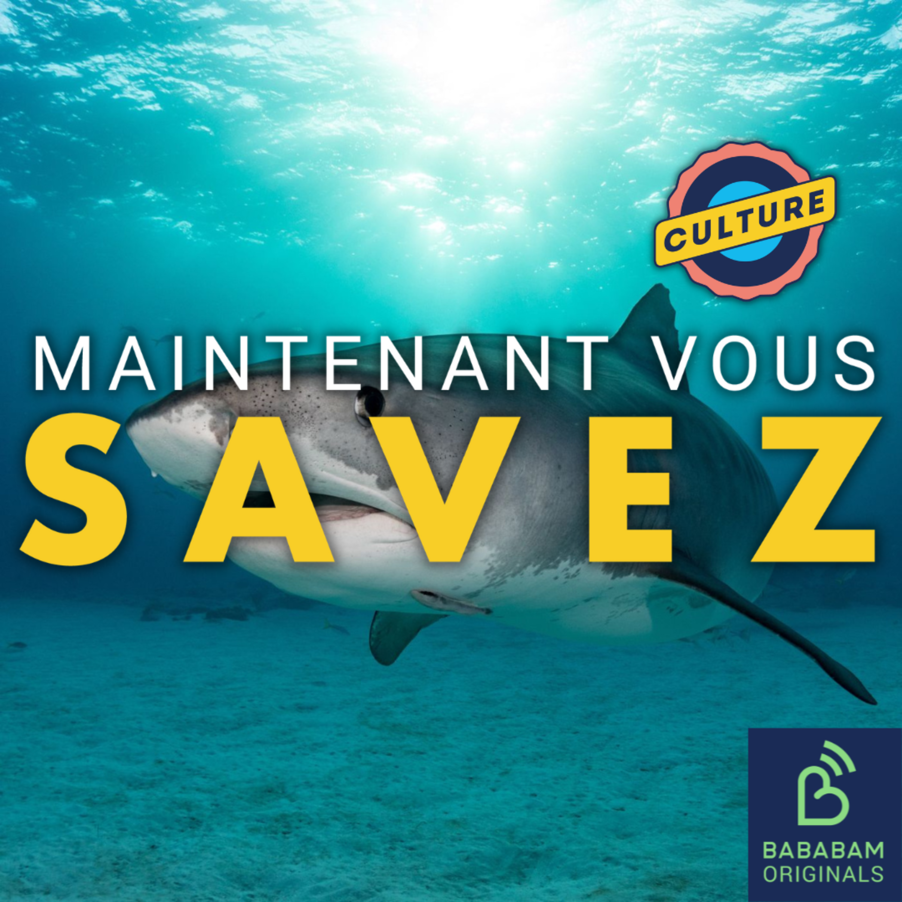 Pourquoi le cinéma a-t-il fait tant de mal aux requins ?