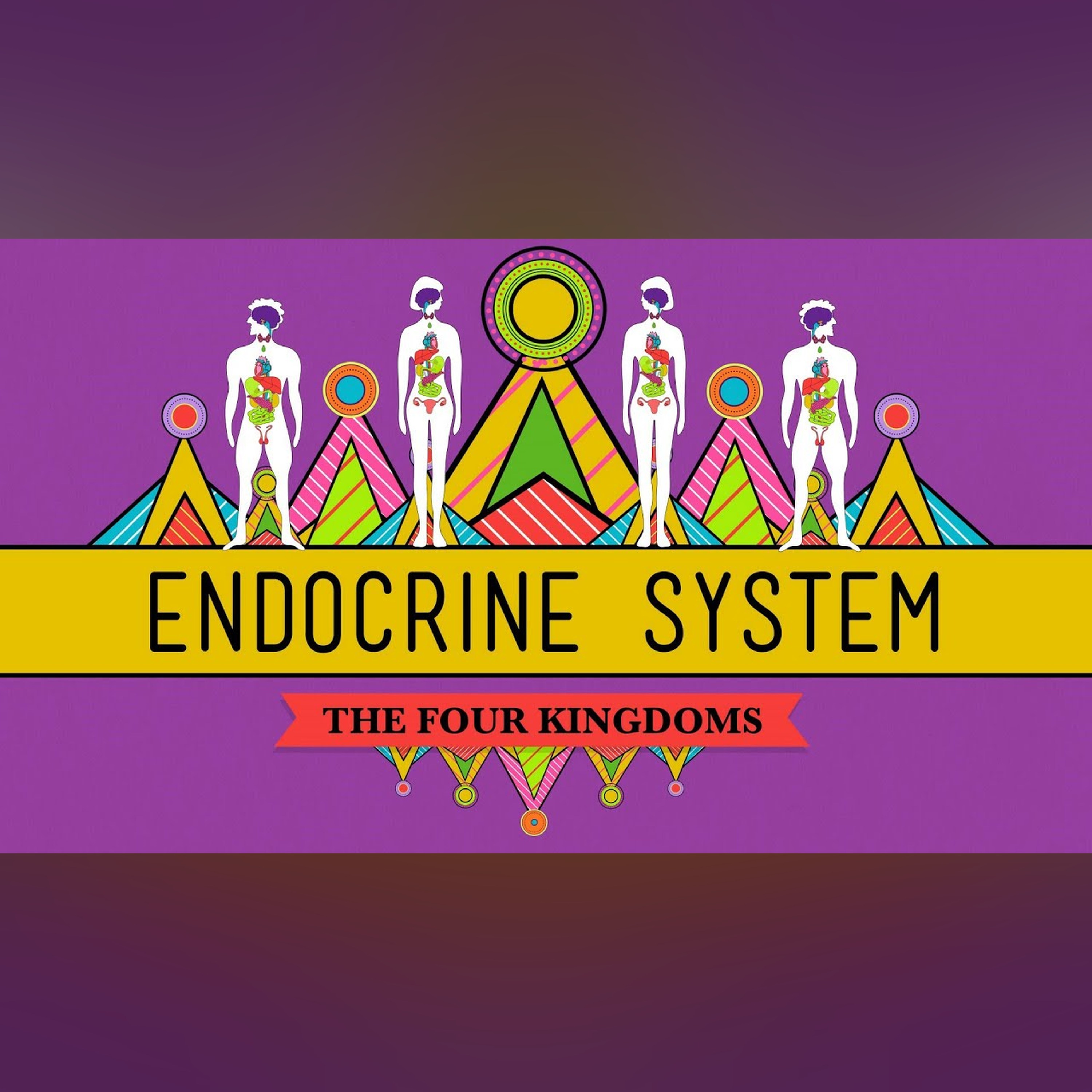 Great Glands - Your Endocrine System: CrashCourse Biology #33