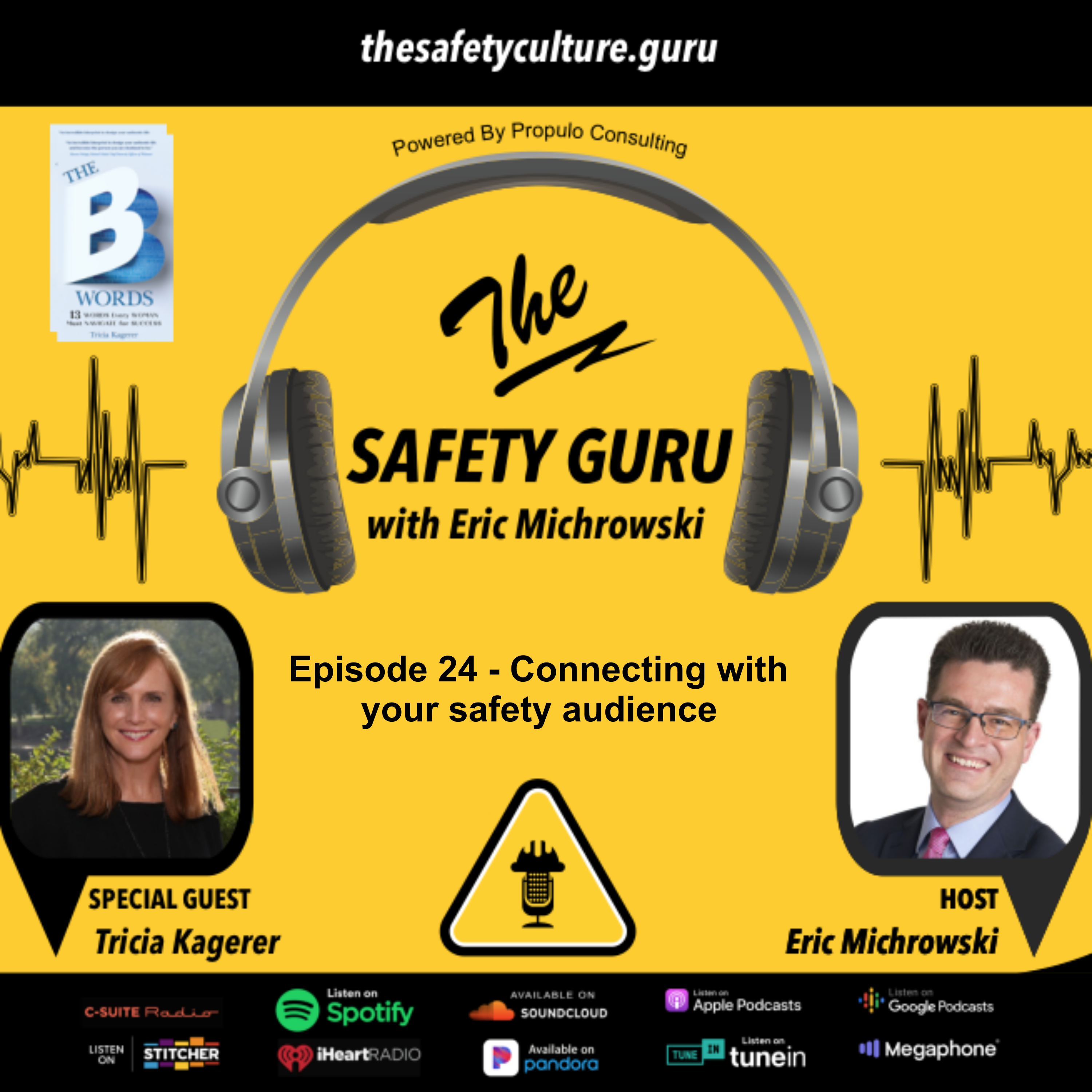 The Safety Guru