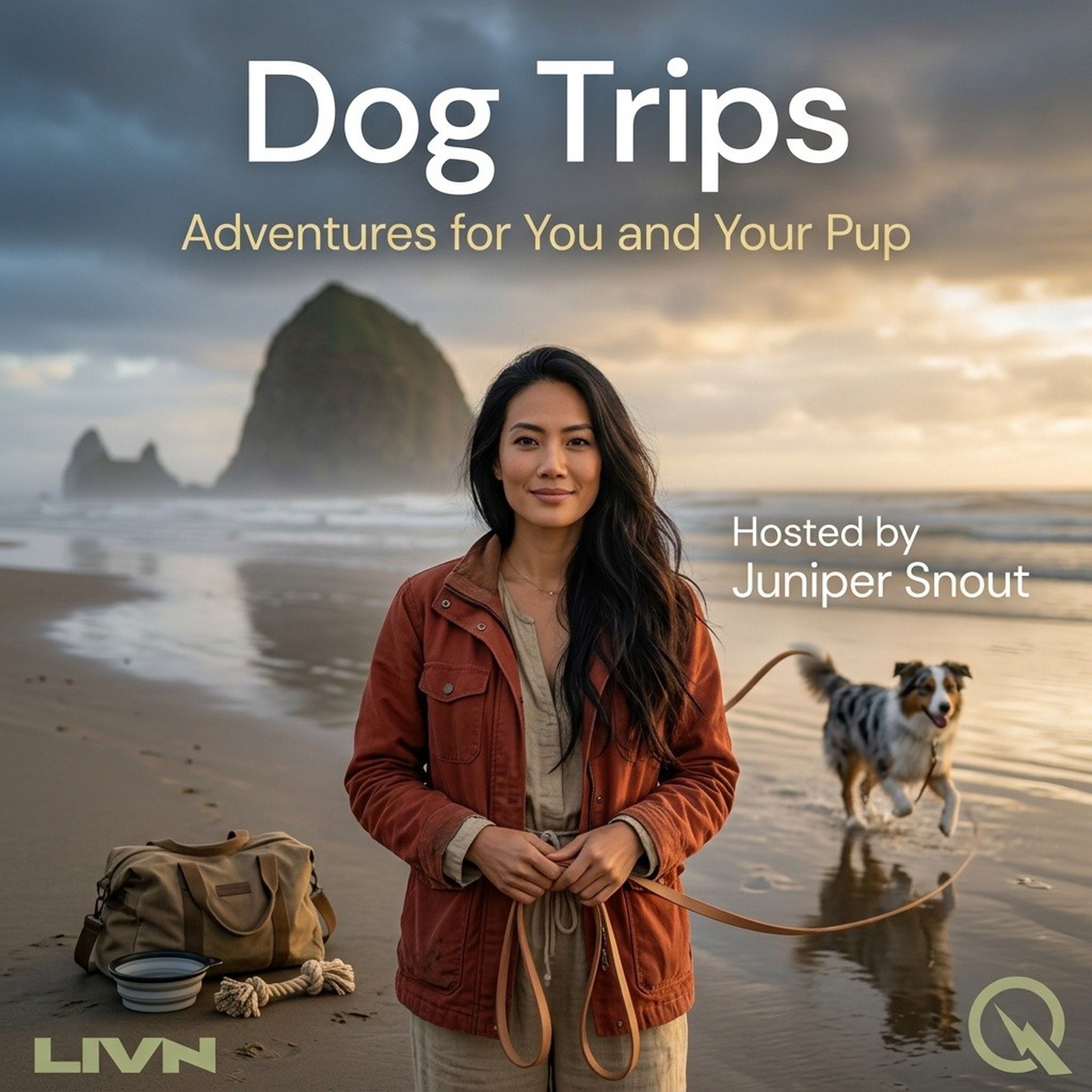 Dog Trips