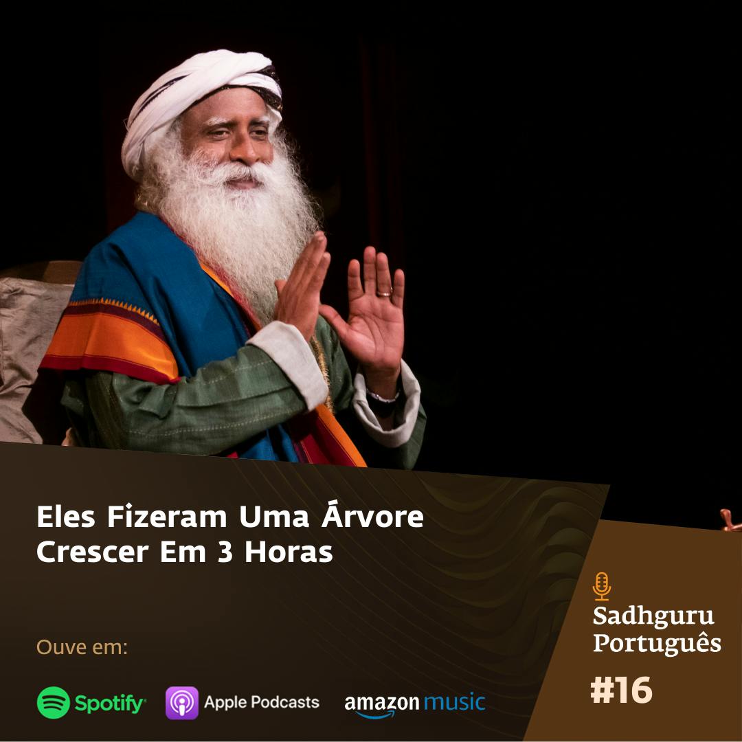 Eles Fizeram Uma Árvore Crescer Em 3 Horas Eles Fizeram Uma Árvore Crescer Em 3 Horas