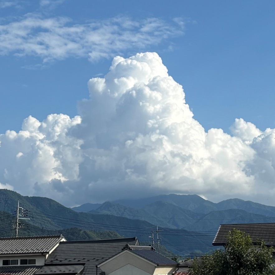 #60 細田守監督作品を天気でよみとく