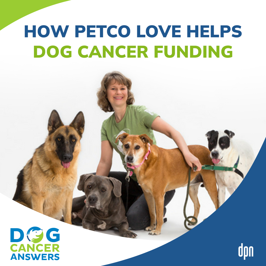 How Petco Love Helps Dog Cancer Funding | Susanne Kogut #185