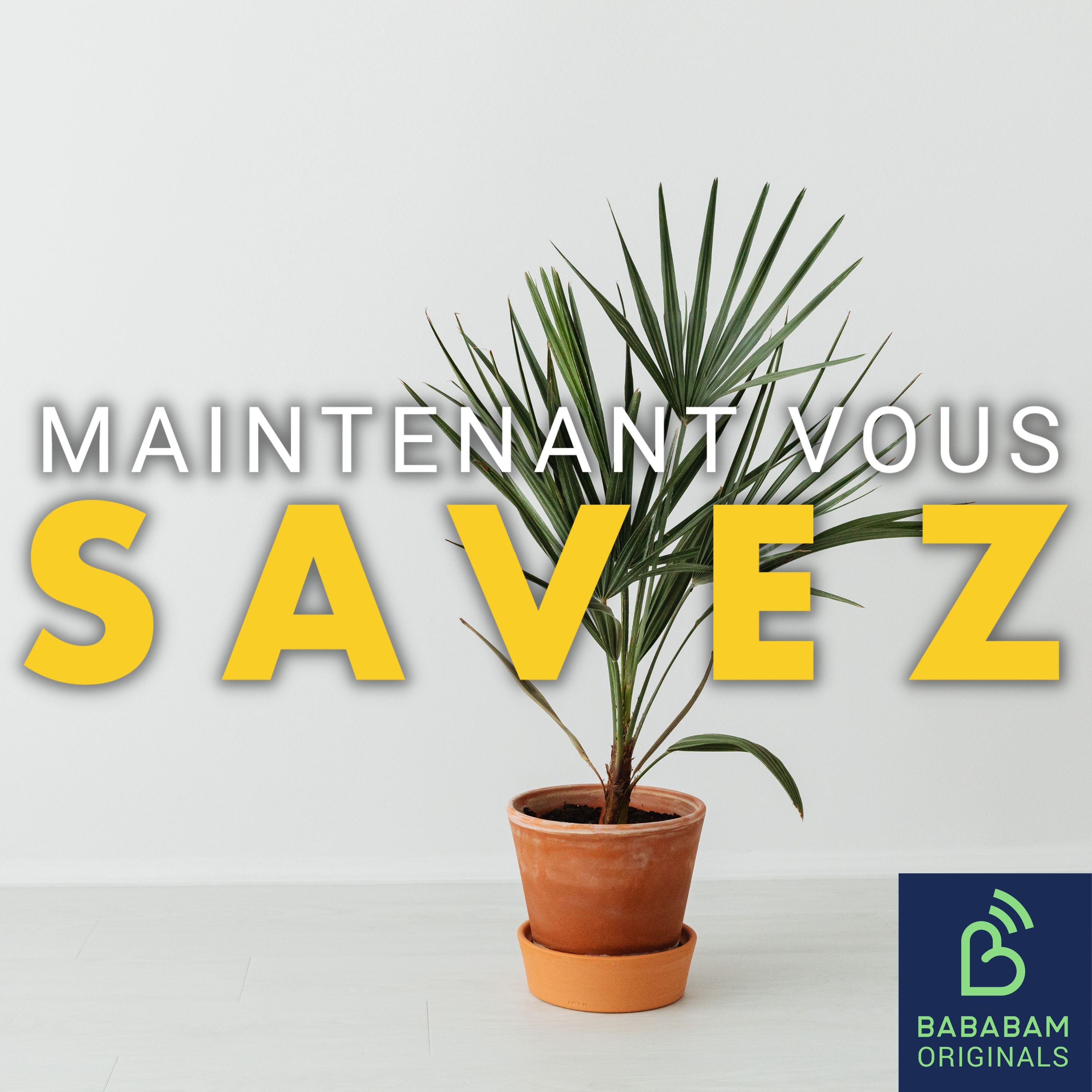 Pourquoi mes plantes meurent-elles tout le temps ?