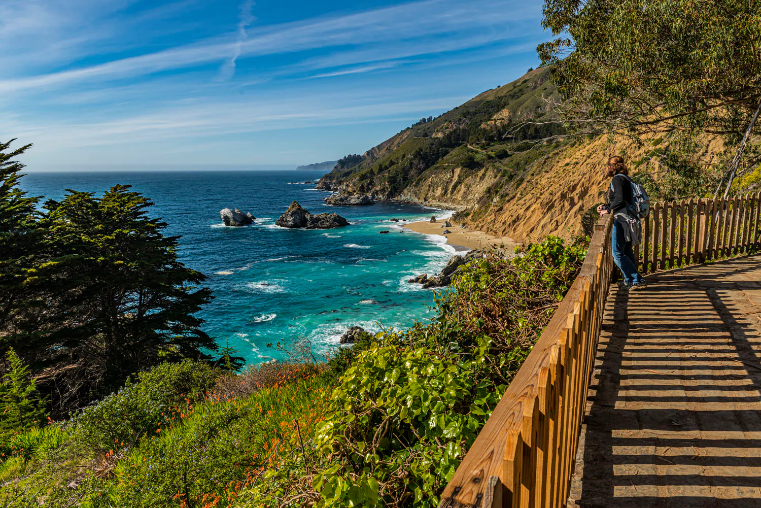 Boom and Bust in Big Sur episode artwork