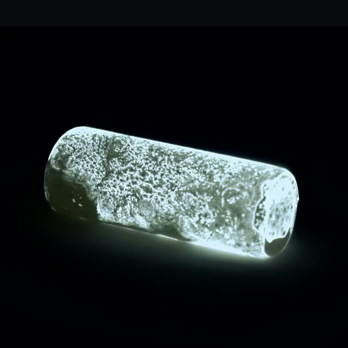 What Connects Bones, Bird Poop, and Toxic Green Slime? Hint: Without It, Half of Us Wouldn't Be Alive Today