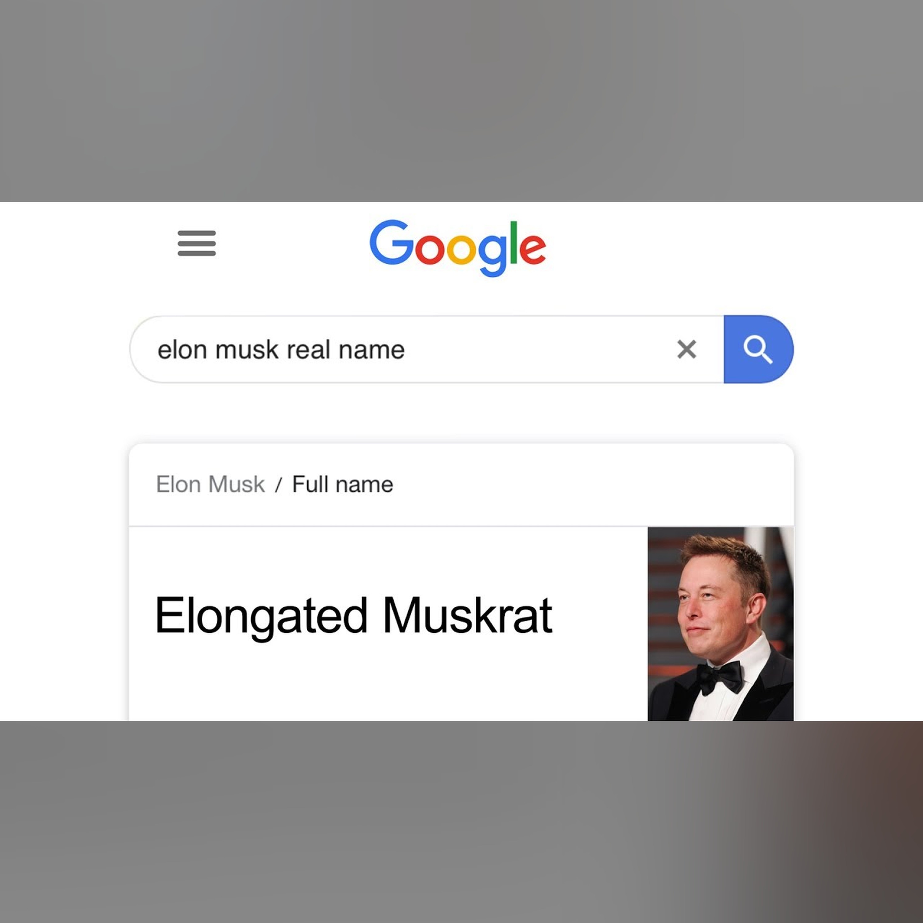 Answering google's most searched questions of 2019..