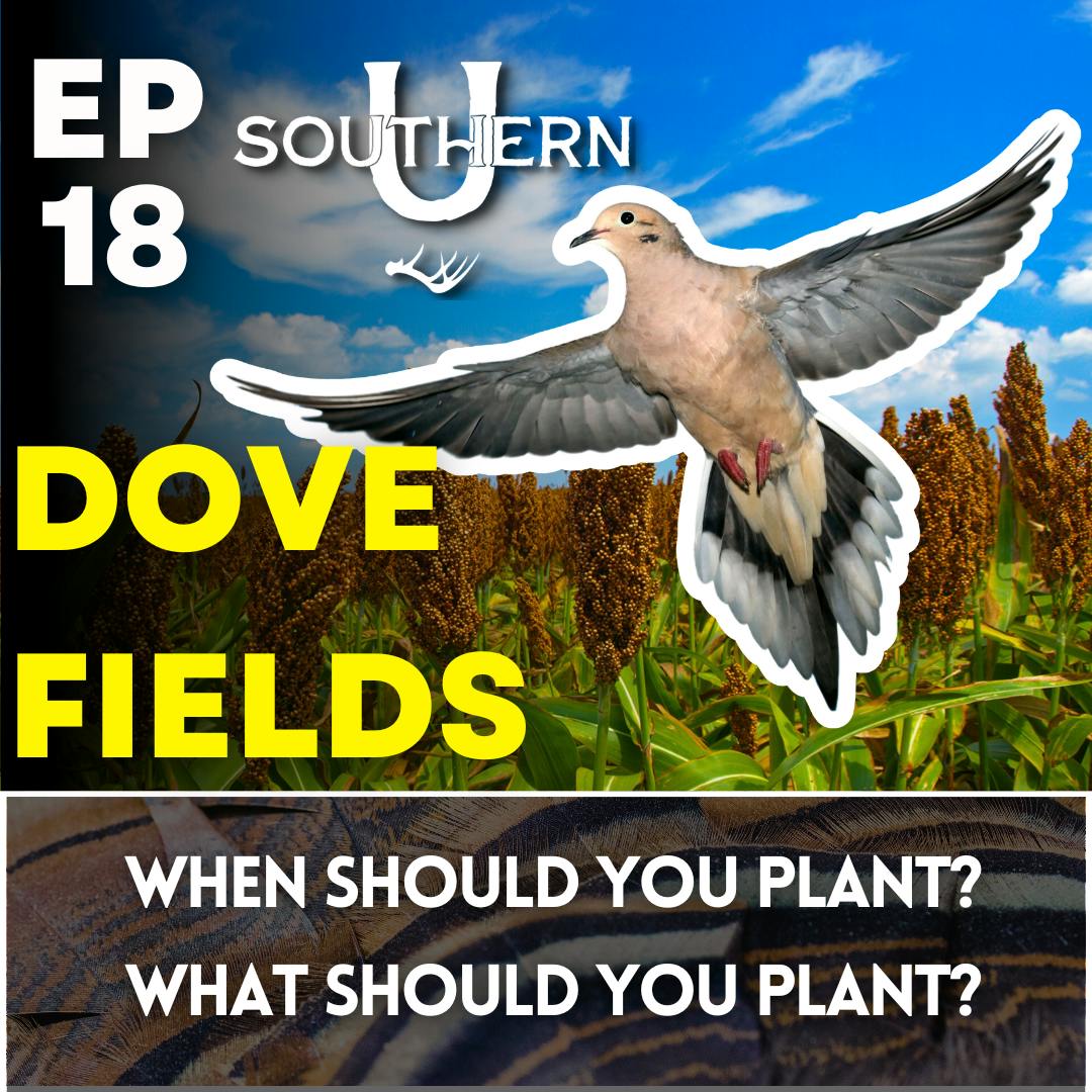 Dove Fields Dove Fields