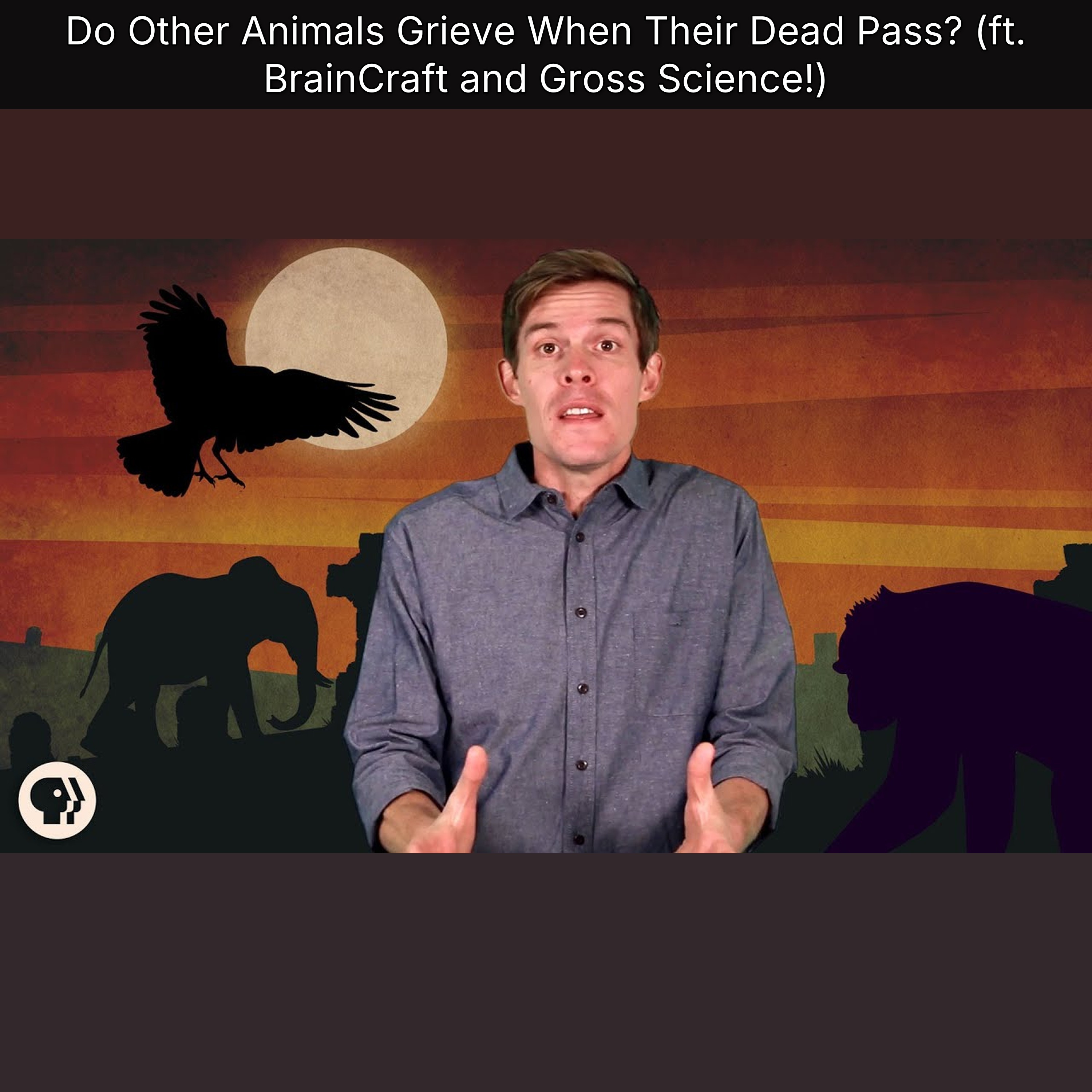 Do Other Animals Grieve When Their Dead Pass? (ft. BrainCraft and Gross Science!) episode artwork