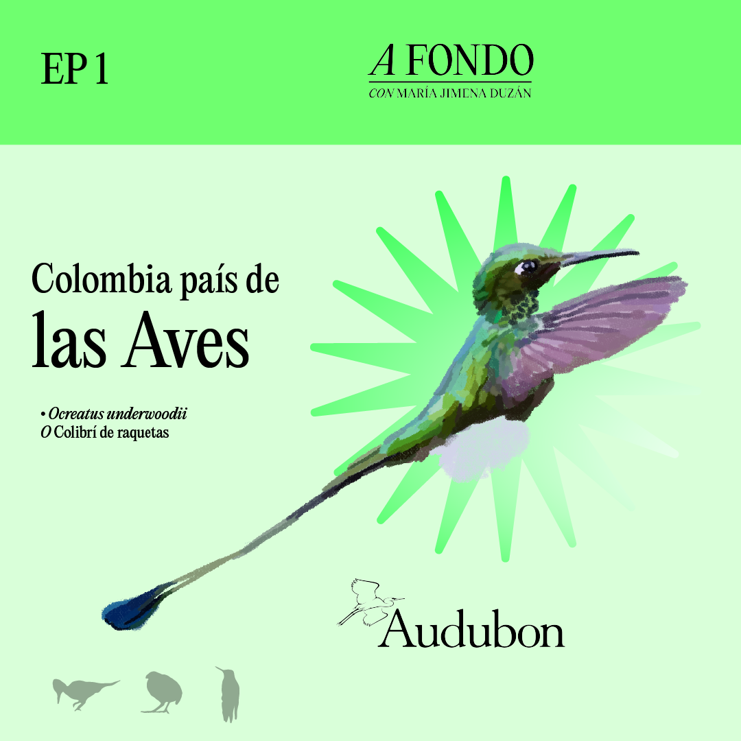 El fantástico poder de las aves EP1: Colombia el país de las aves