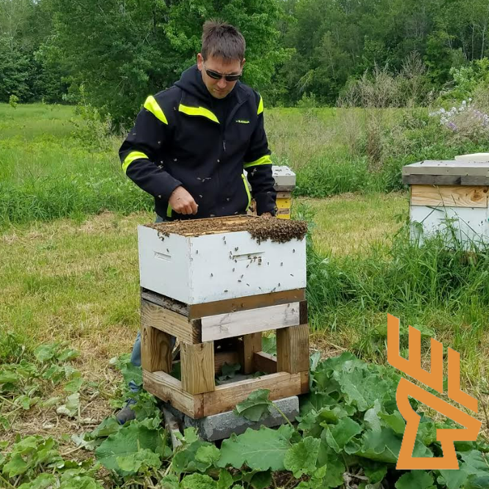 Whitetail Landscapes - Introducing Bees To You Hunting Property